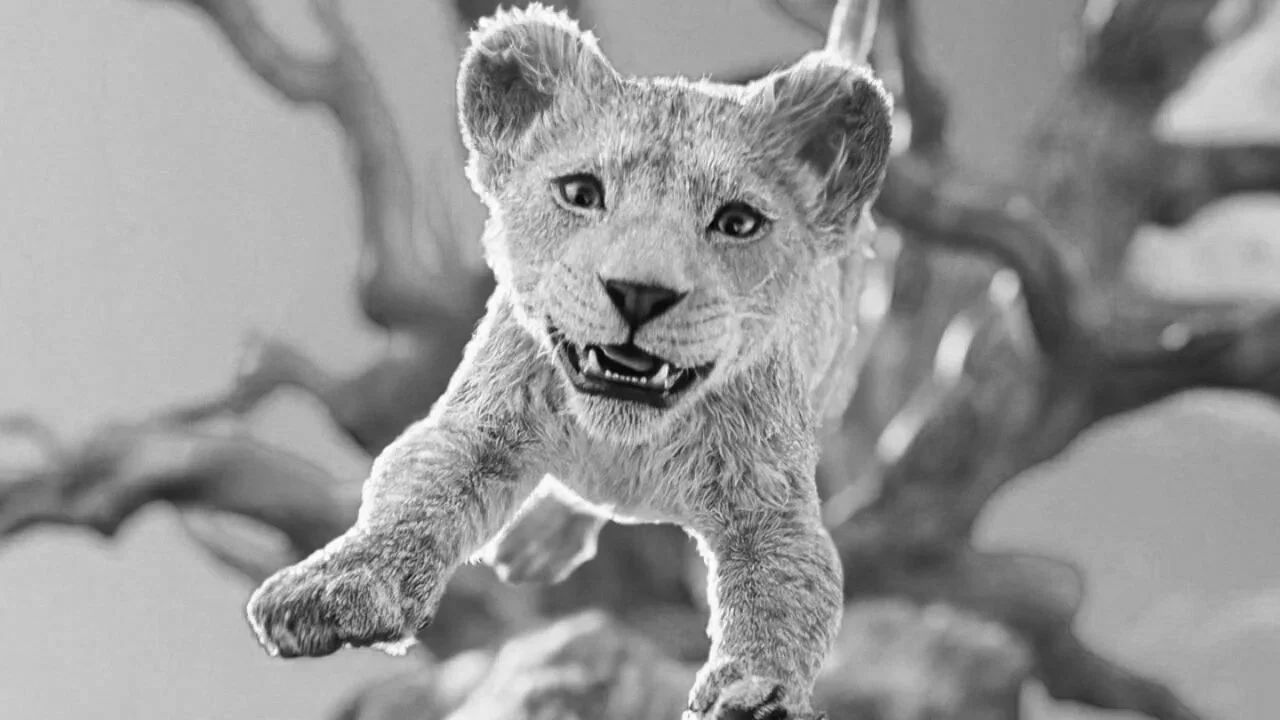 MUFASA