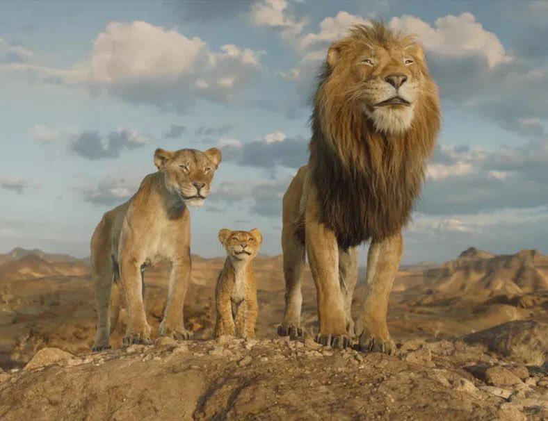 MUFASA