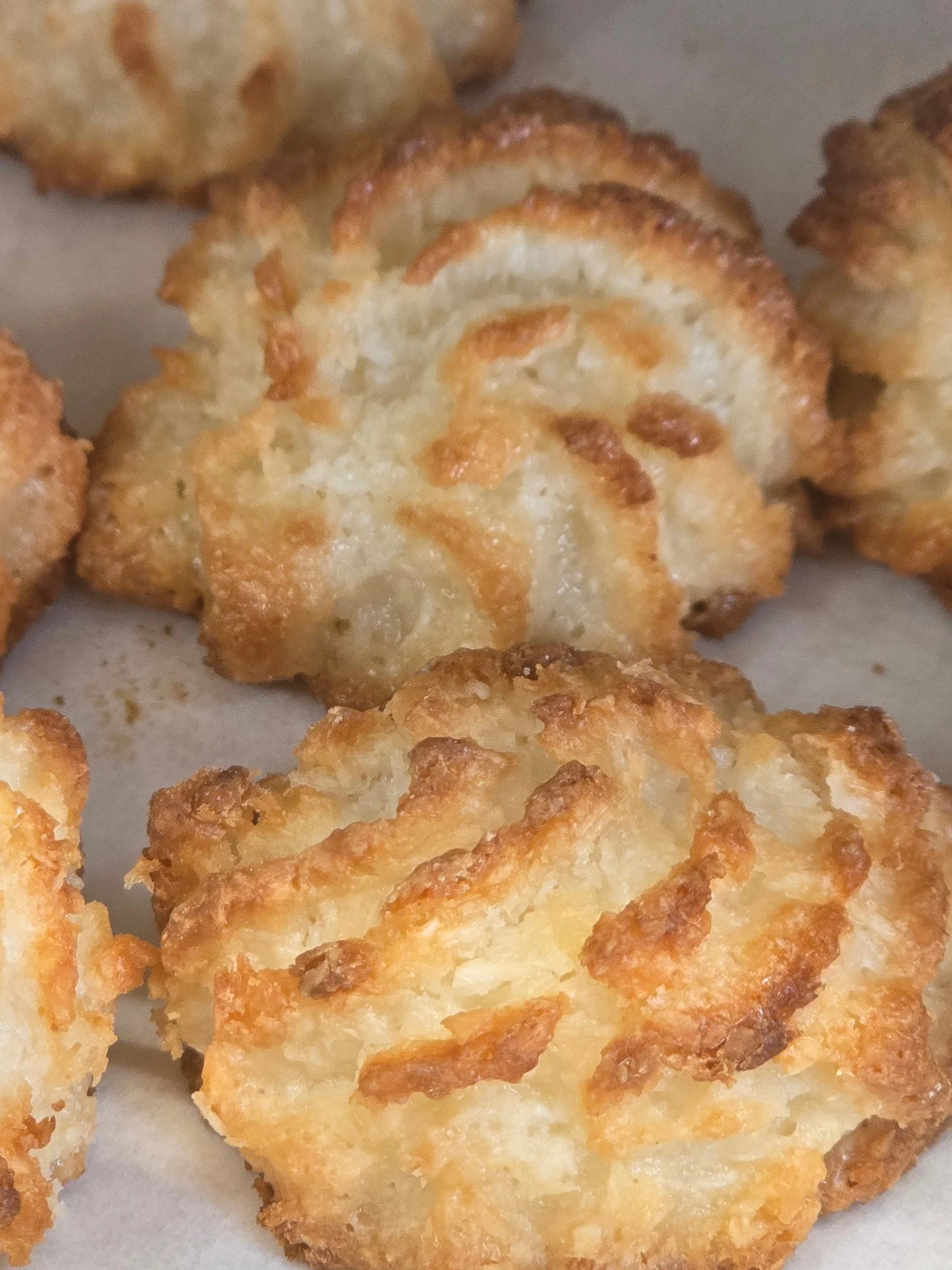 Coconut Macaroon's!! #antoinespastryshop #cookie #cookies #italian #italy #coconut #macaroon #richthebaker