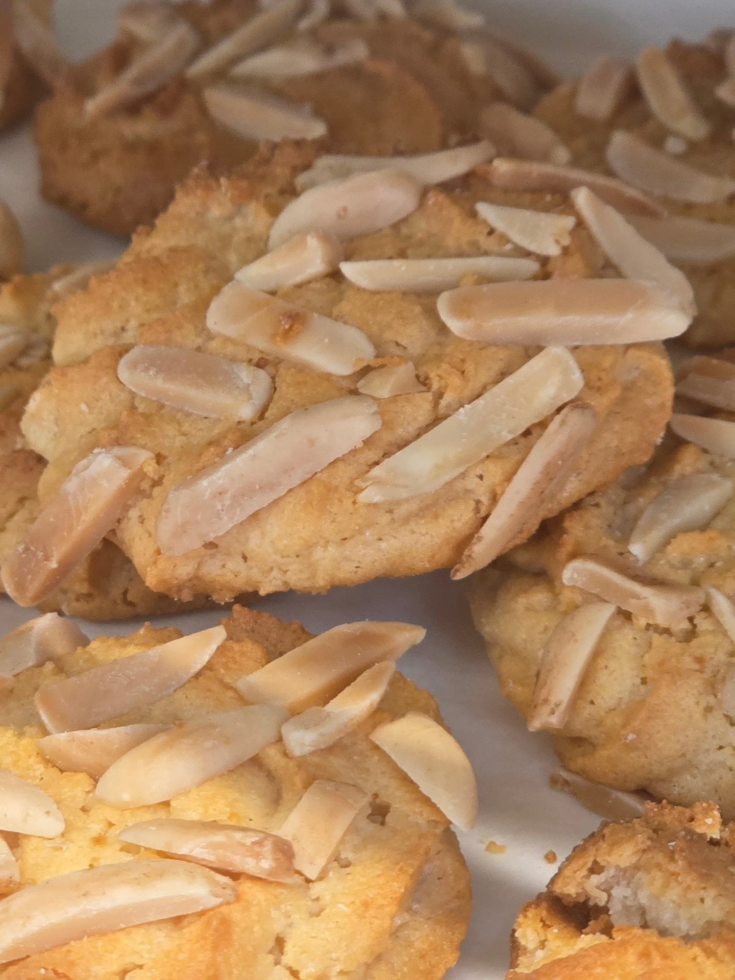 Almond Macaroon! #antoinespastryshop #cookie #cookies #italian #italy #almond #richthebaker #macaroon #cookiesbythepound