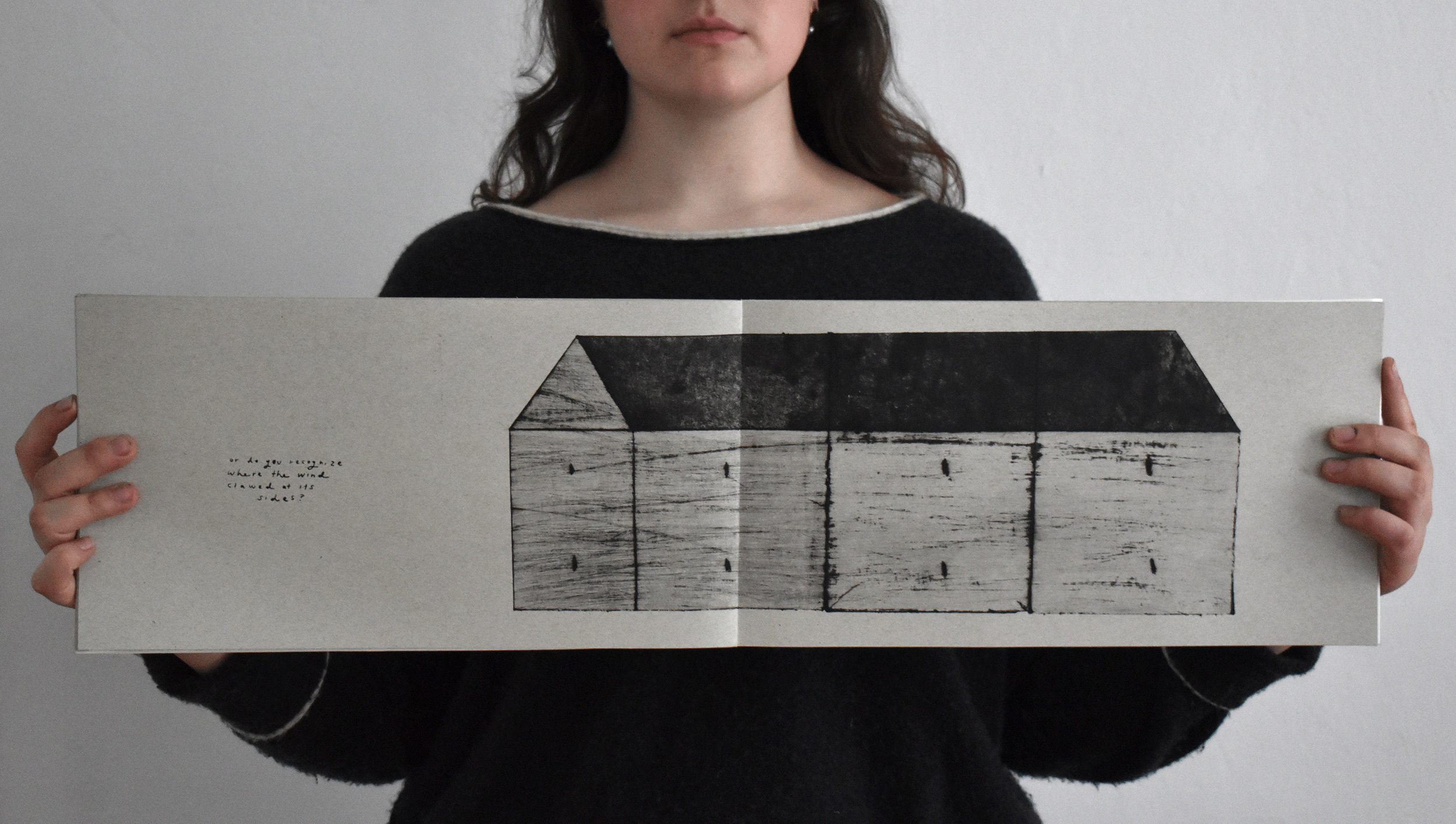 "What Makes A Good House?" pg 7
Artist Book (edition of 8). 2026

Monoprint and Silkscreen on French Paper, drum-leaf bound