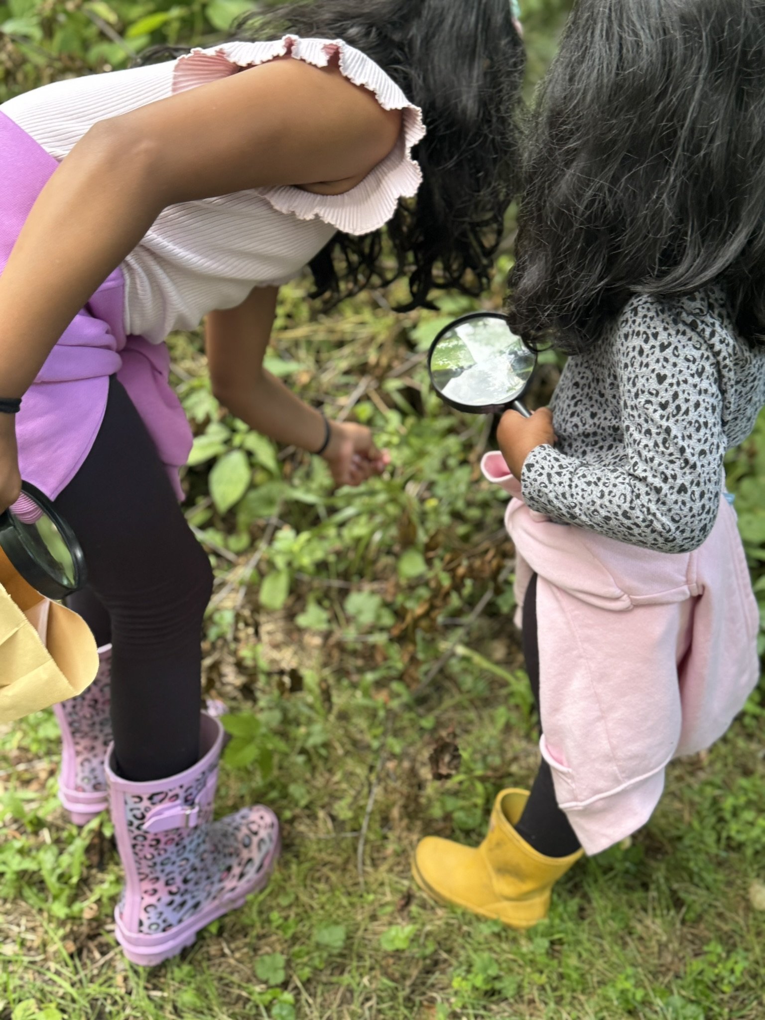 Part One - Benefits of Foraging
Children investigating plant life in the nature walk using their magnifying glass. "What kind of plant is this?" "Why are the leaves different from these ones?"