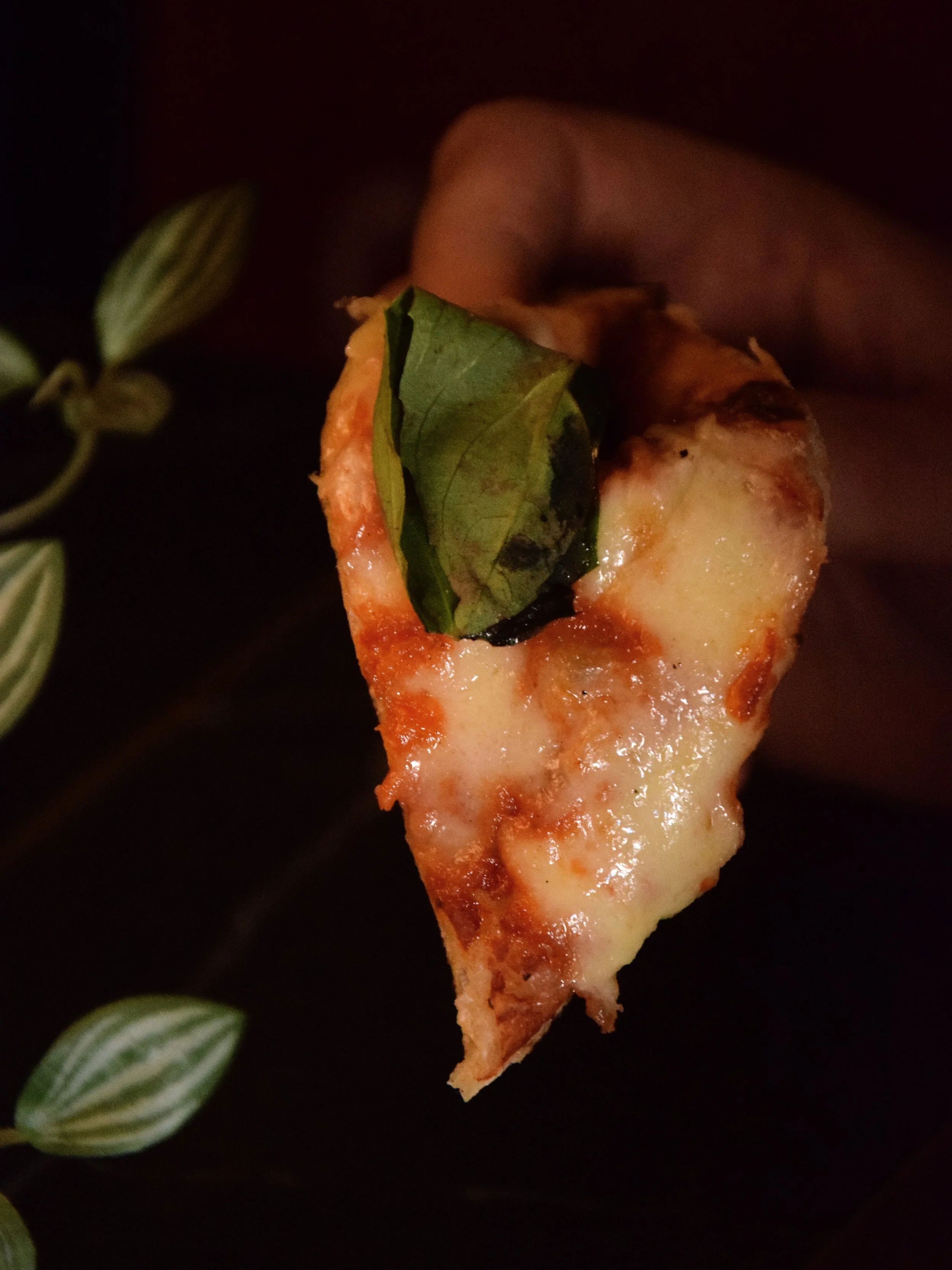 Close-up of a delicious pizza slice with melted cheese and toppings
