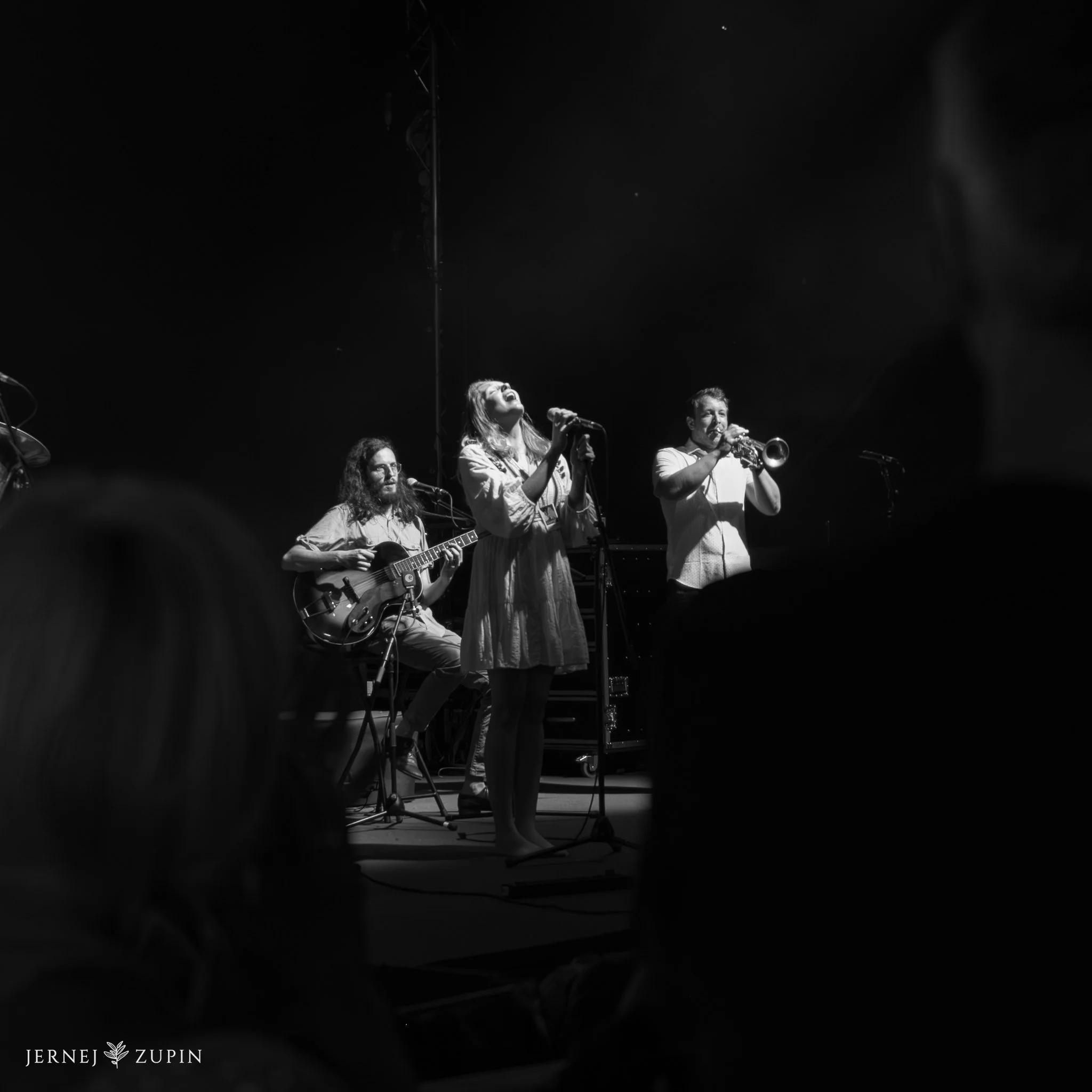 kamfest-kamnik-2025-koncert-17.jpg