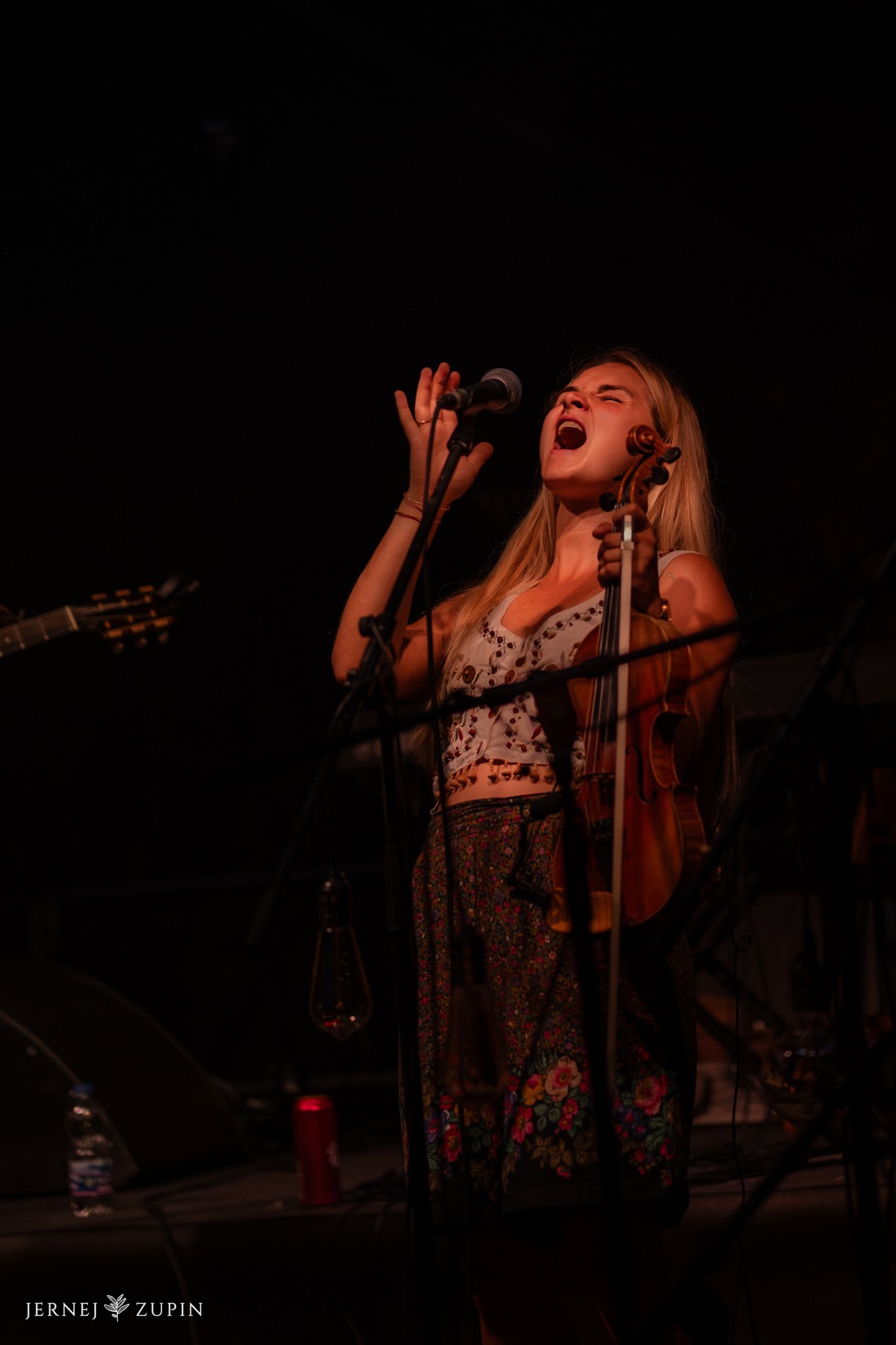 kamfest-kamnik-2025-koncert-20.jpg