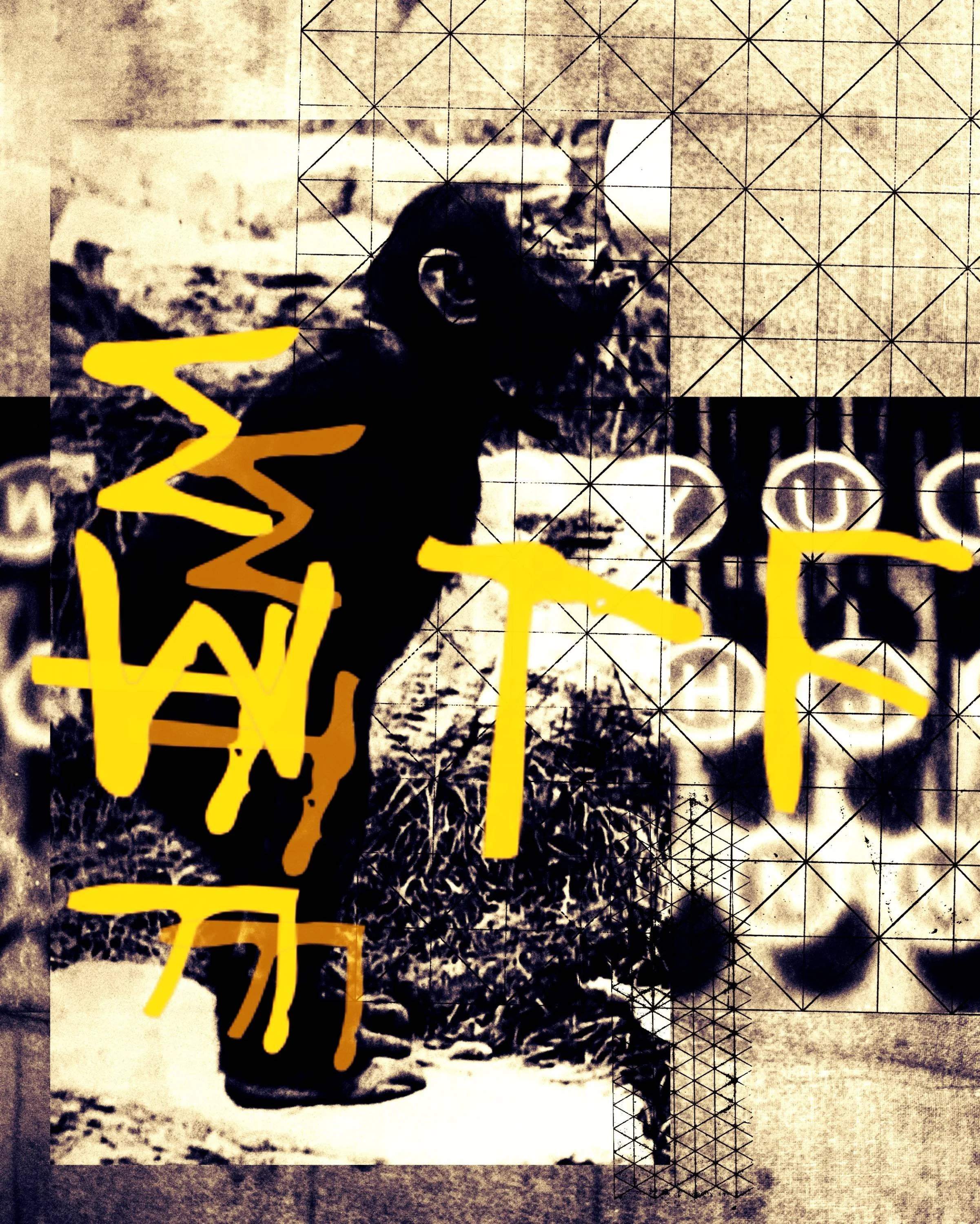 PICTURE TITLE: Infinite Monkey
ARTIST: JW Andrew
LOCATION & YEAR: Scotland 2025
PRINT: Hahnemühle photo rag
EDITION: 9