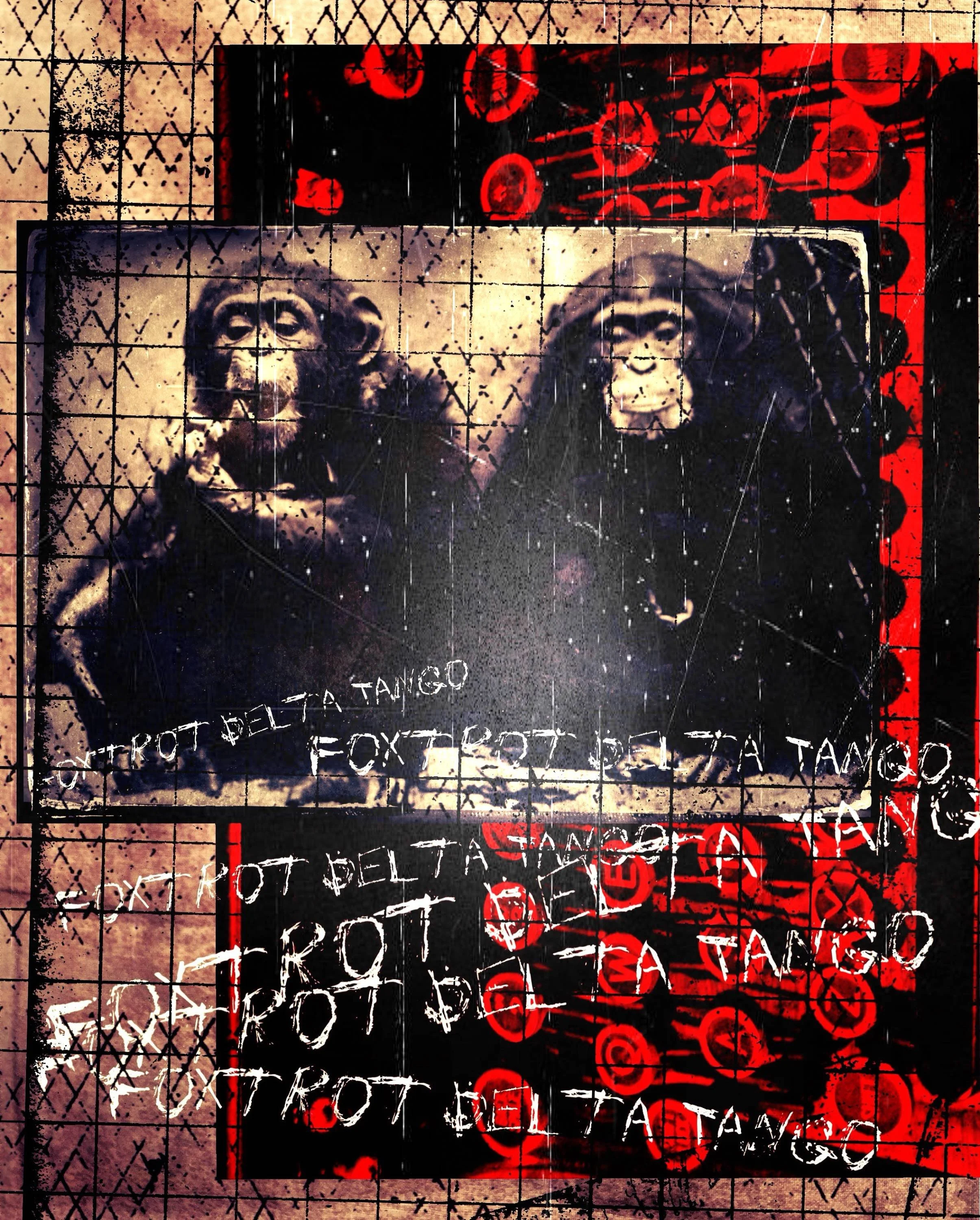 PICTURE TITLE: Infinite Monkey
ARTIST: JW Andrew
LOCATION & YEAR: Scotland 2025
PRINT: Hahnemühle photo rag
EDITION: 9