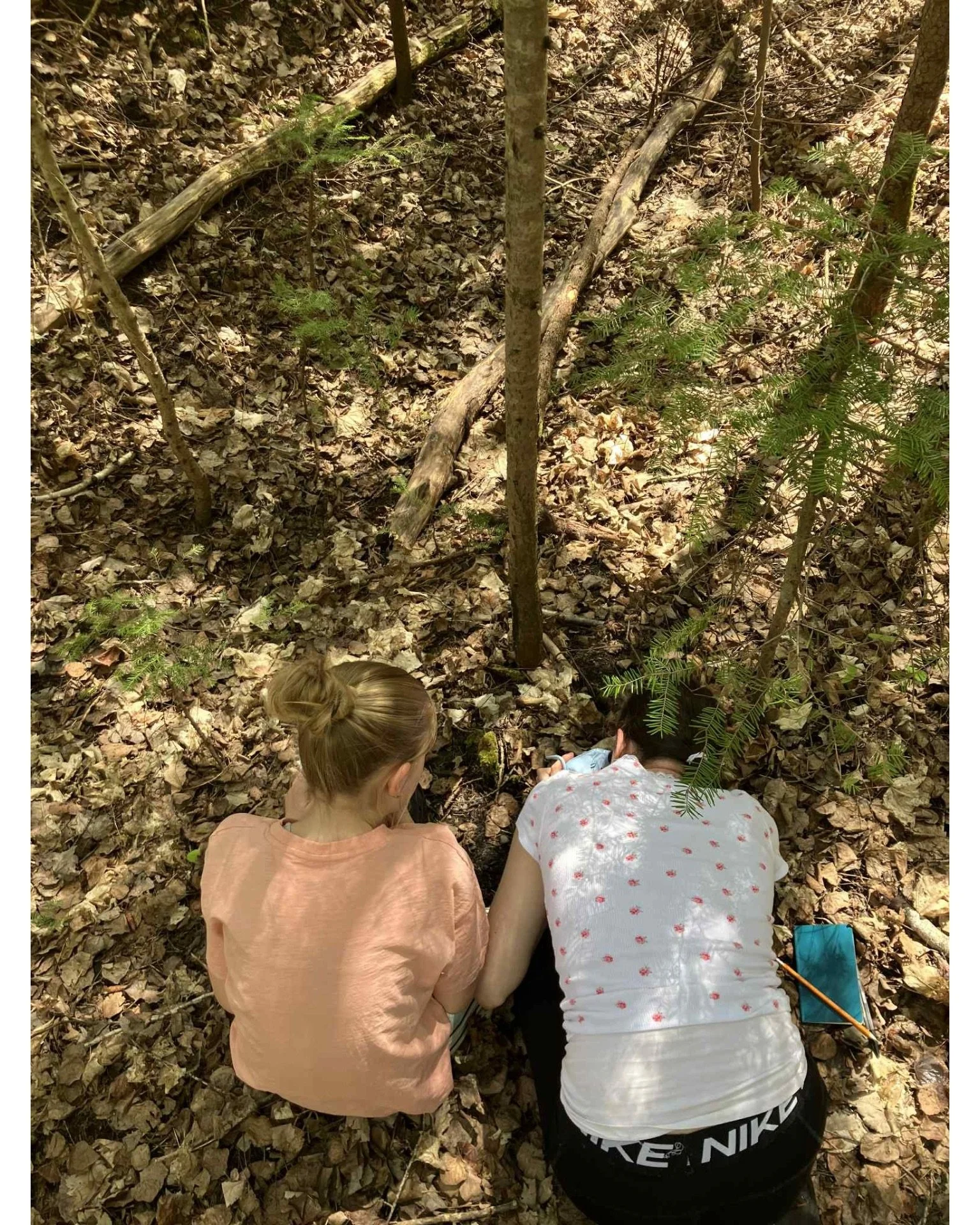 Untitled design - 5.jpeg