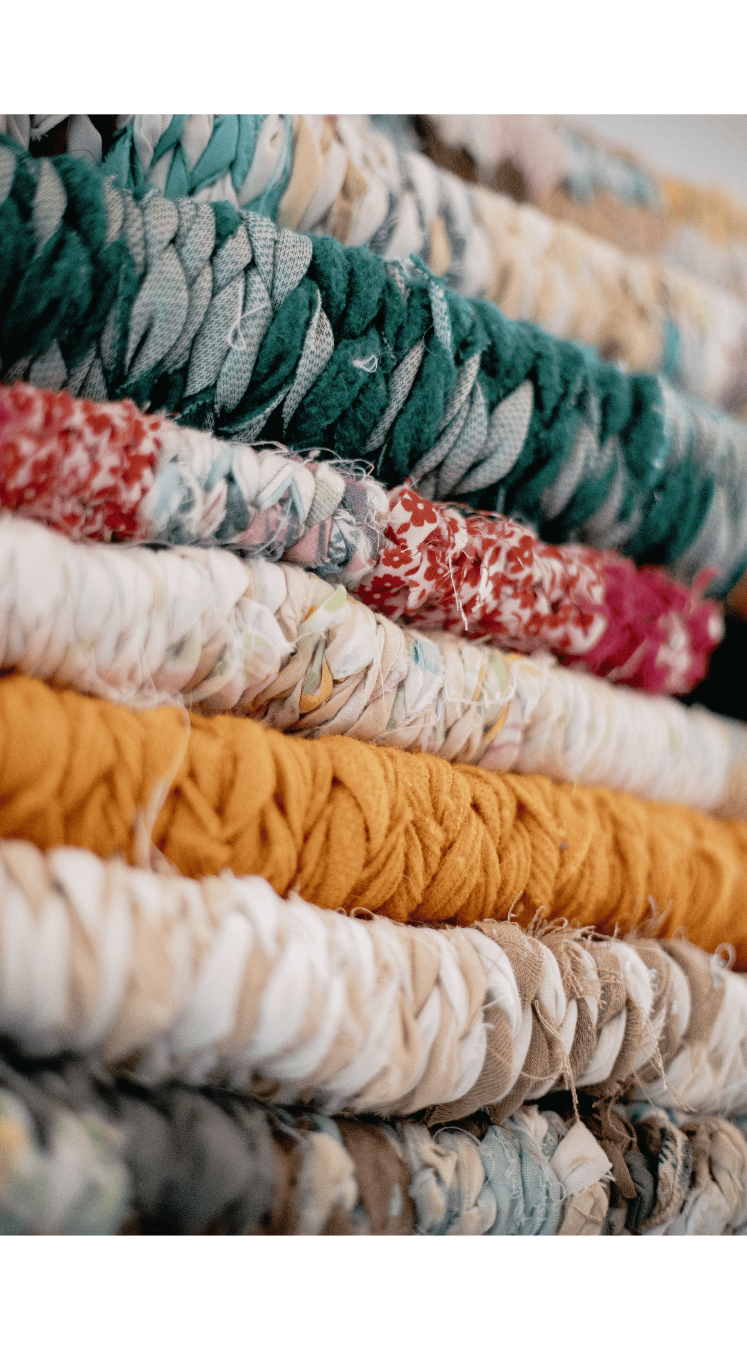 Création sans titre (15).png