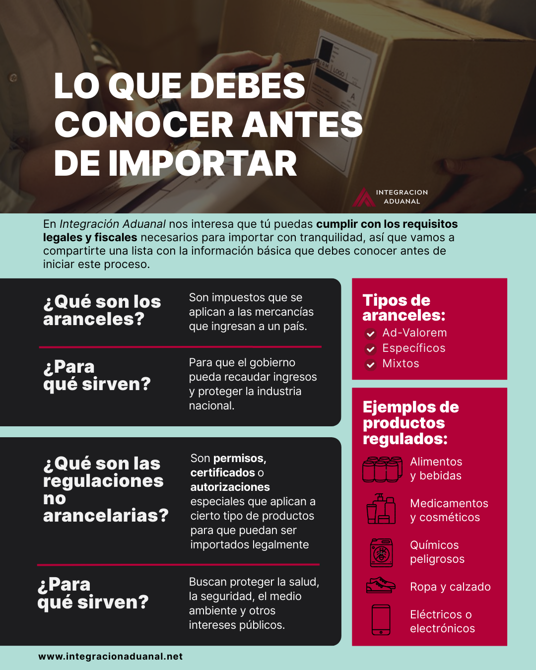 Infografía sobre la información que debemos de conocer antes de importar | Imagen hecha en Canva, por Integración Aduanal