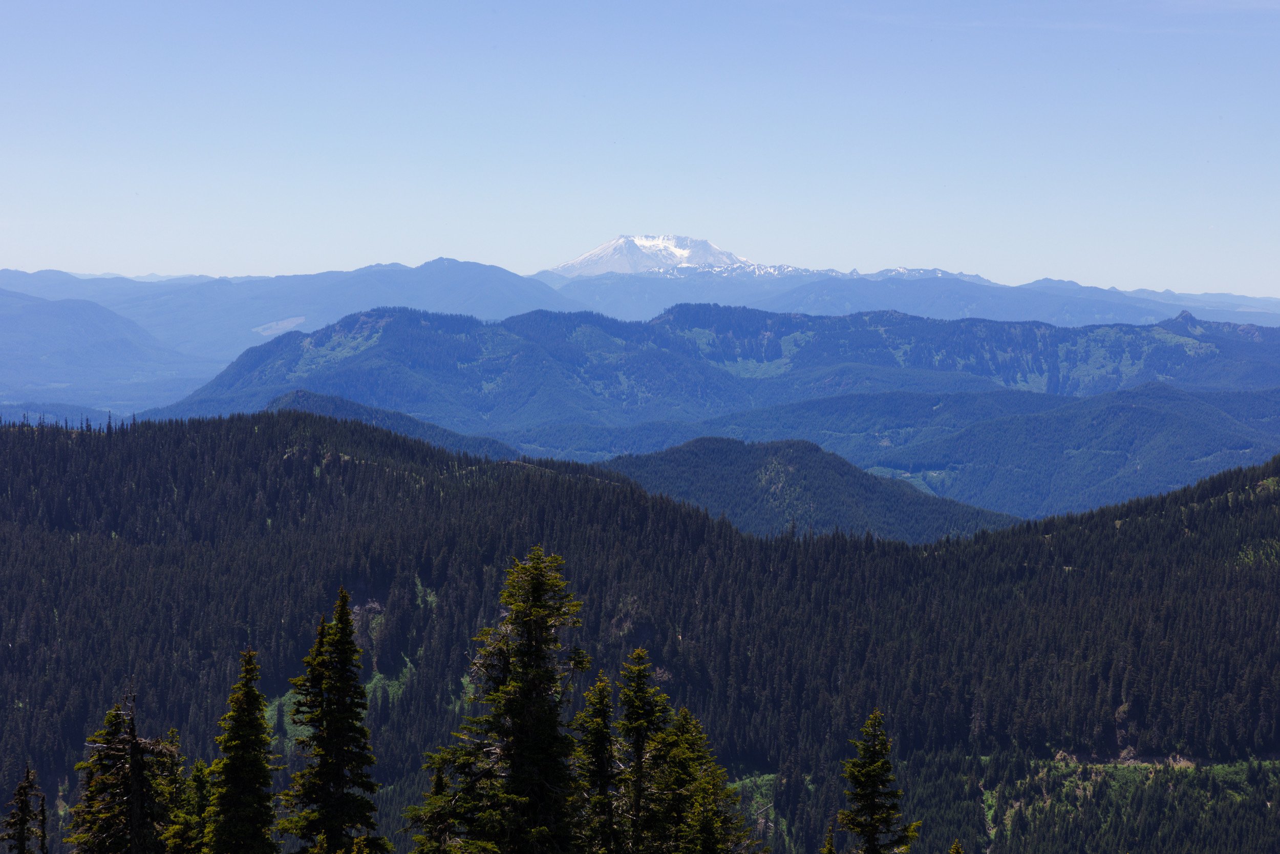 2026-06-14-125844_AK5A3449.jpg