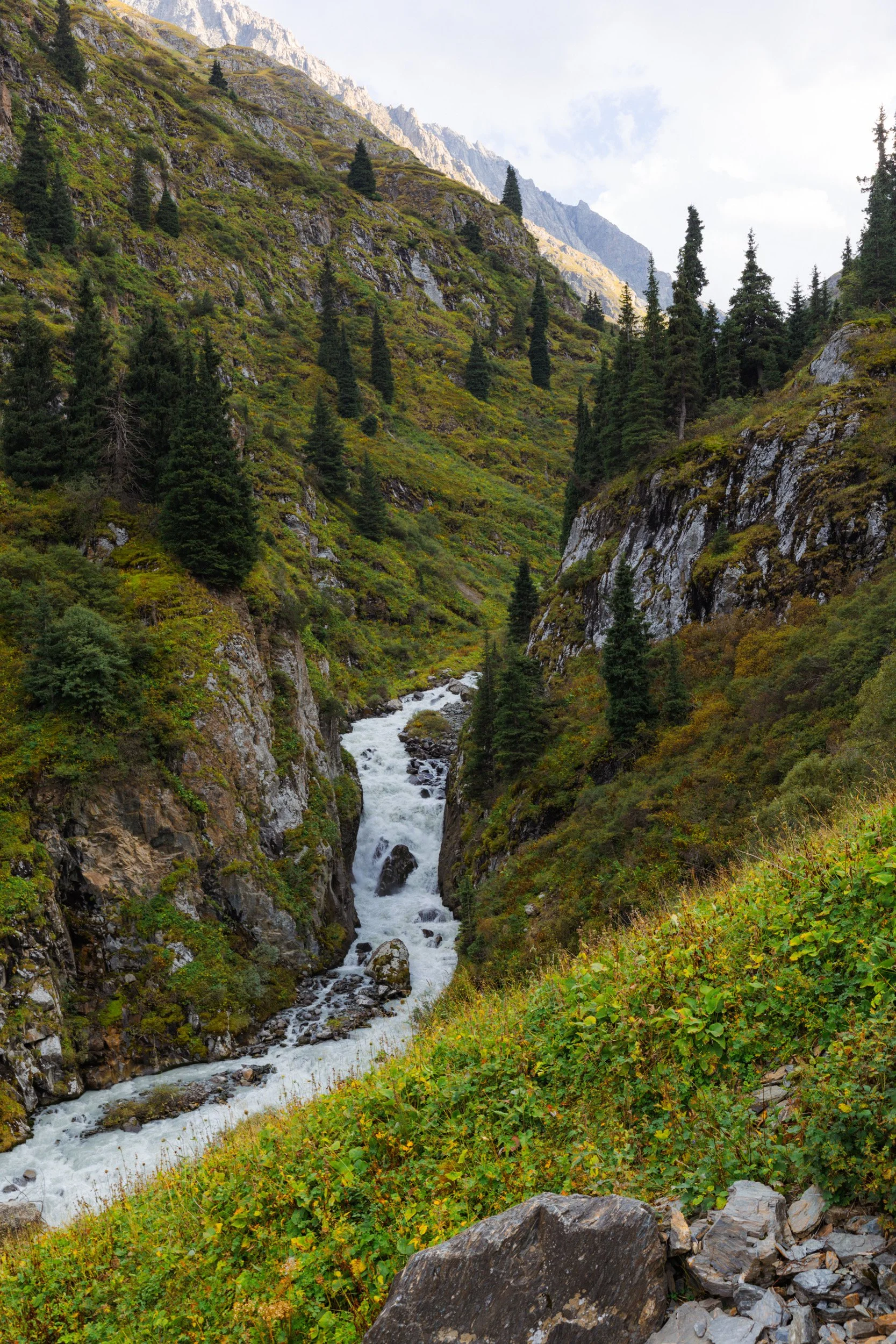 2026-08-25-171743_AK5A5858.jpg