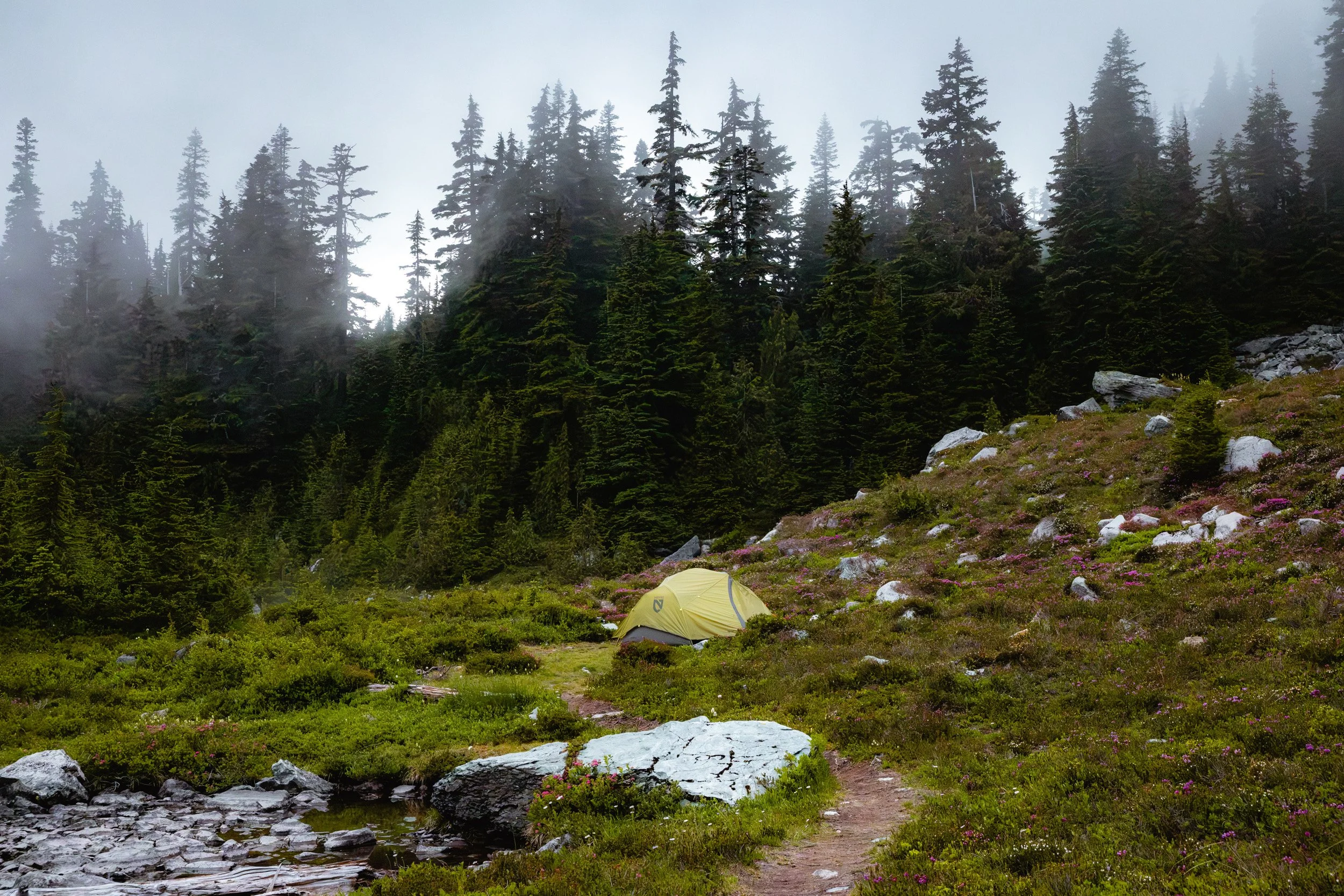 2026-07-18-210741_AK5A4225.jpg