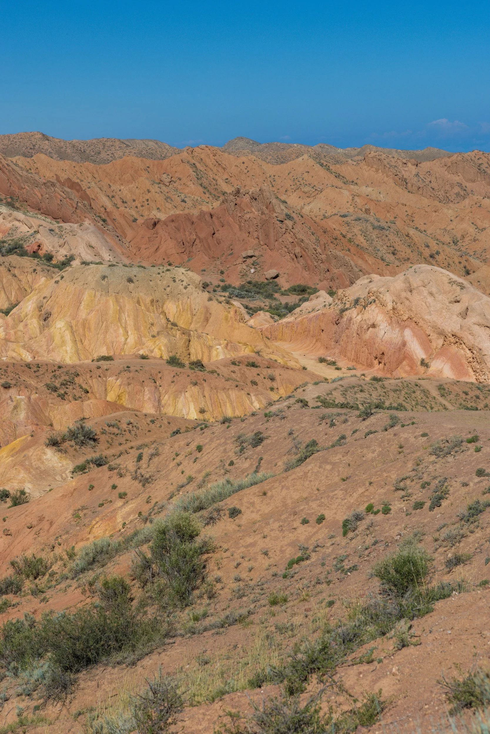 2026-08-24-101618_AK5A5034.jpg