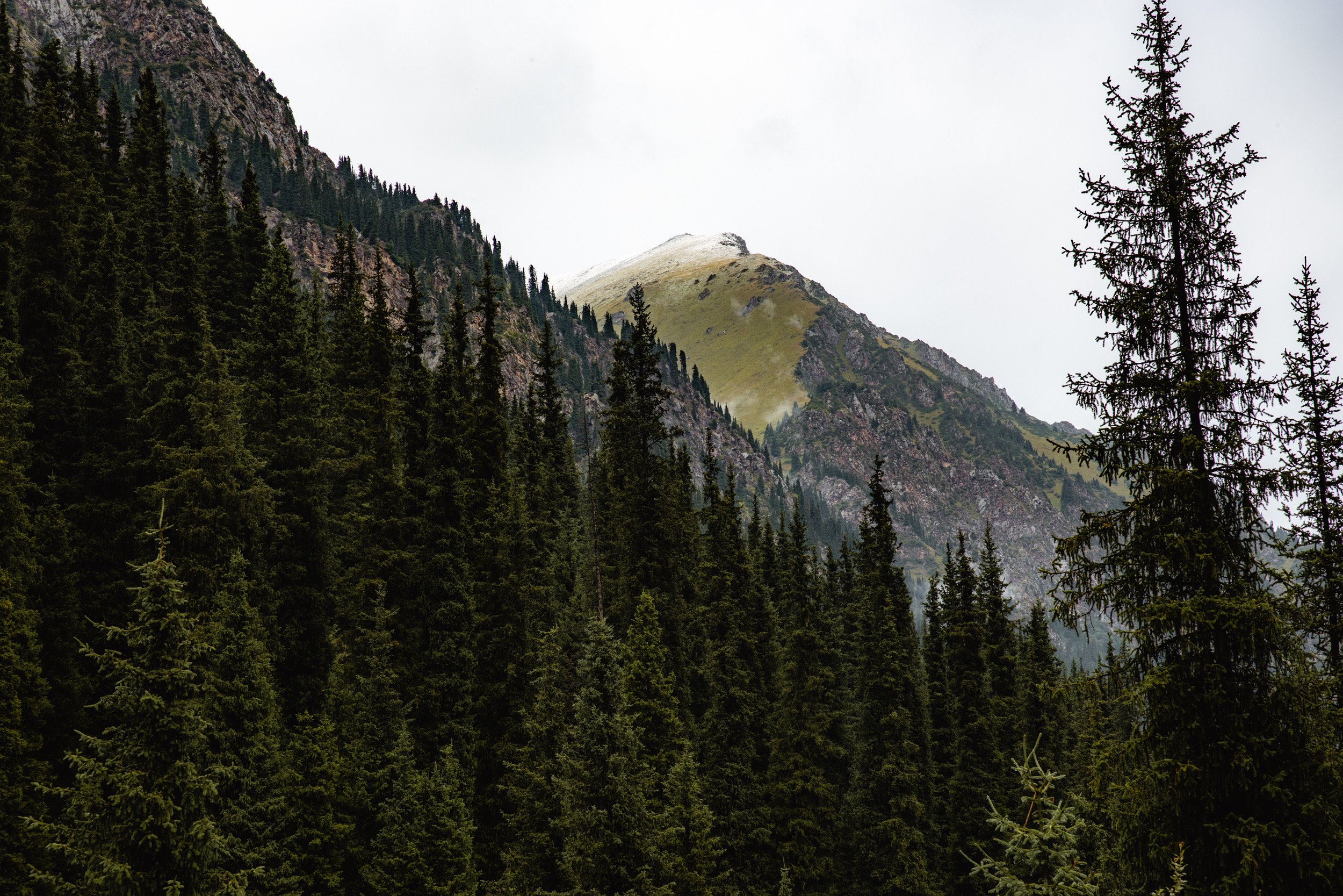 2026-08-25-105741_AK5A5440.jpg