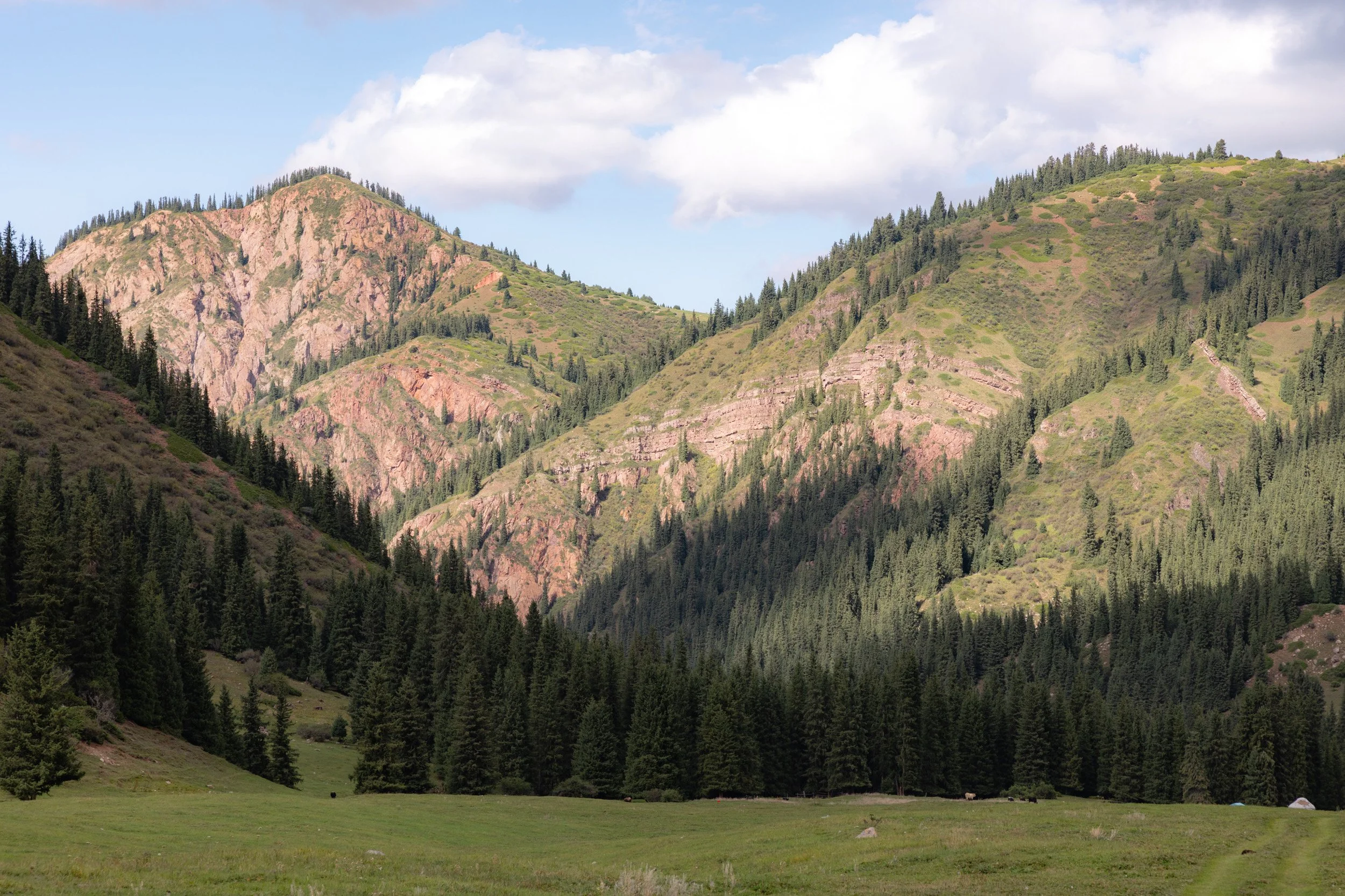 2026-08-24-151817_AK5A5256.jpg