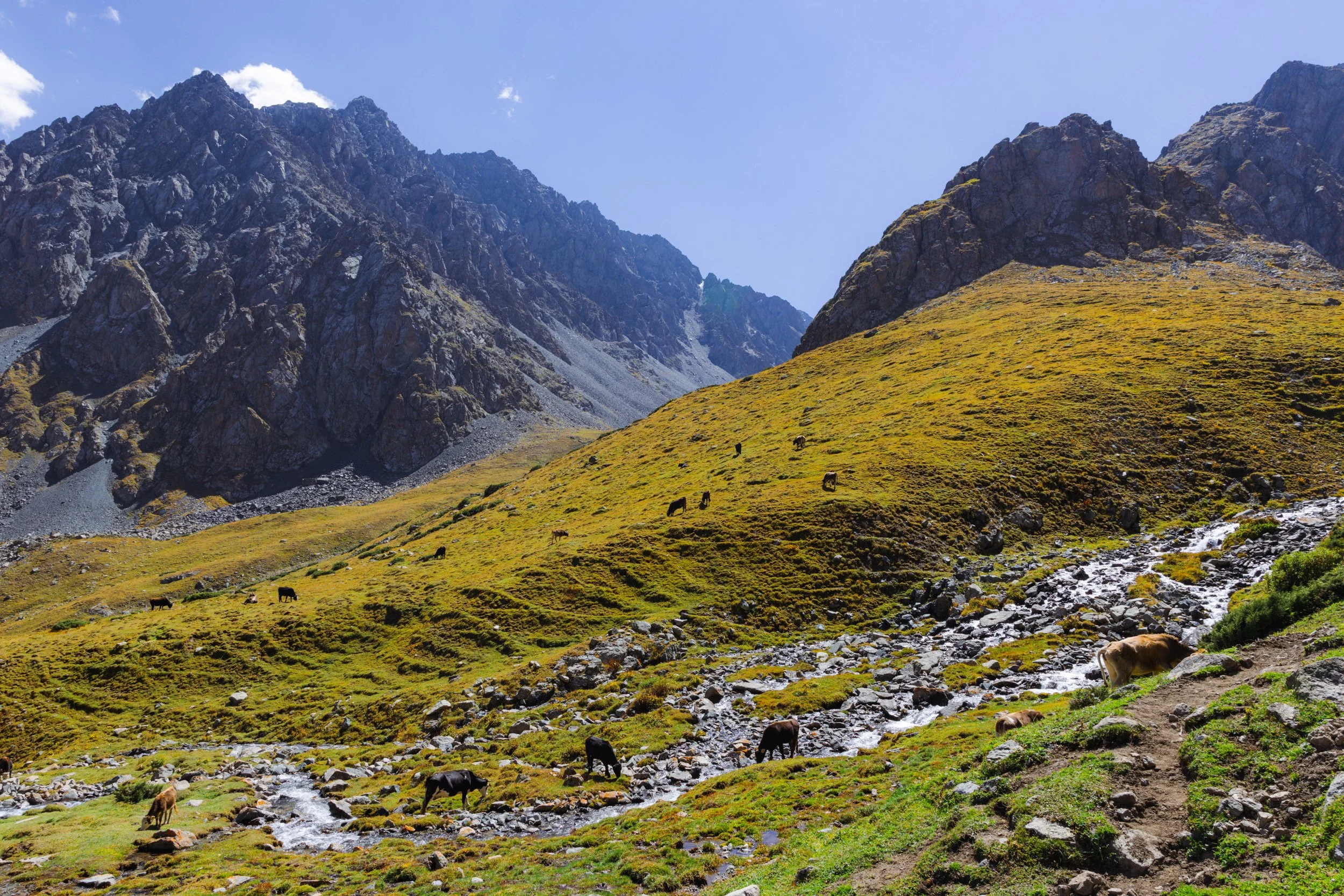 2026-08-27-133816_AK5A6674.jpg