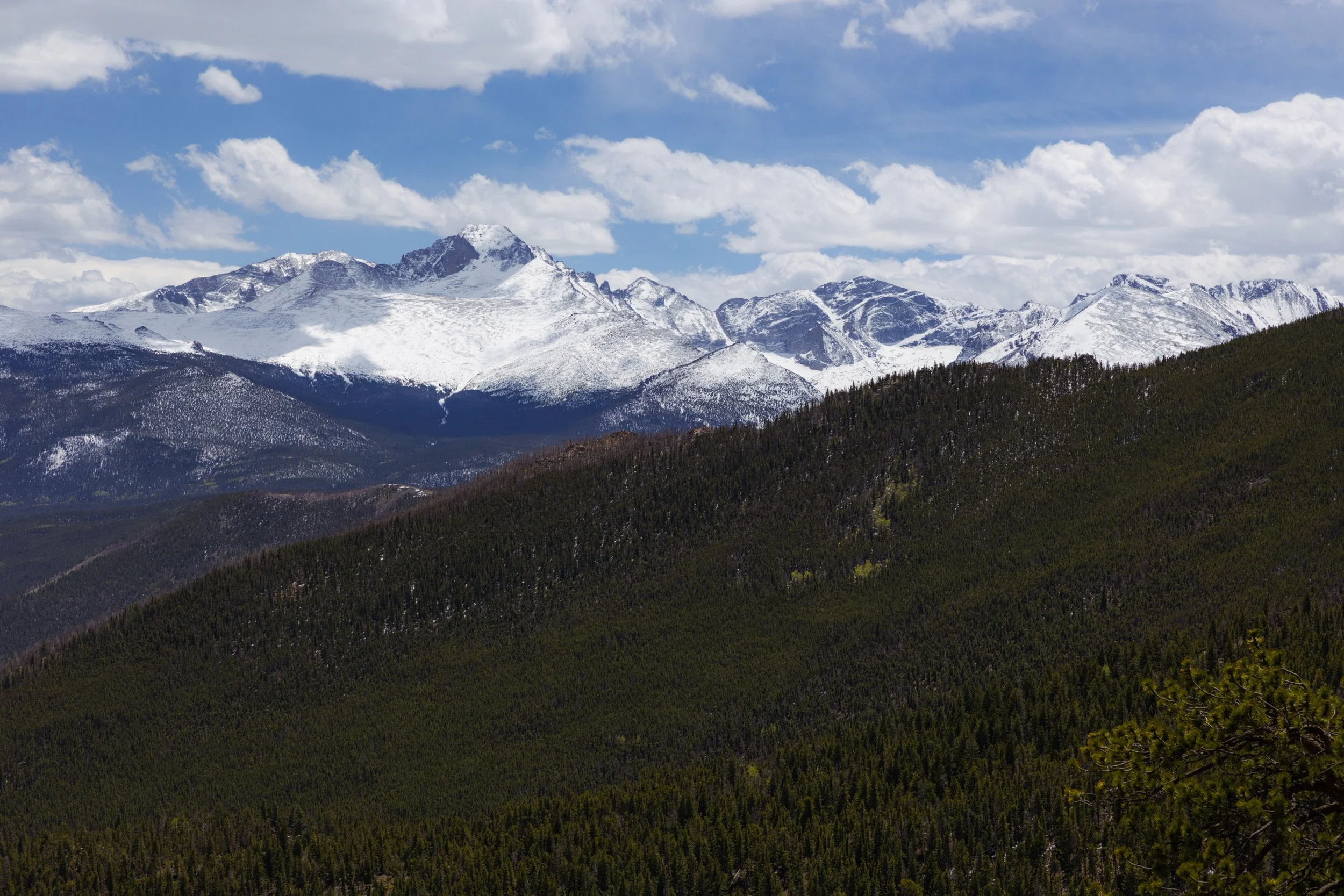 2026-05-23-122921_AK5A2706.jpg