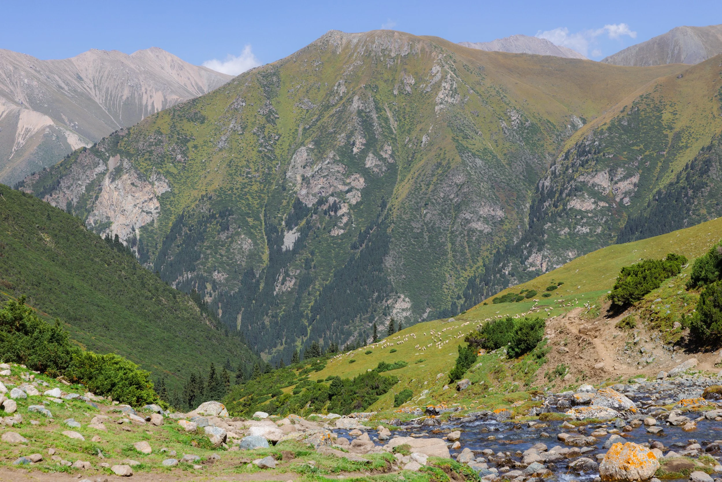 2026-08-27-144010_AK5A6707.jpg