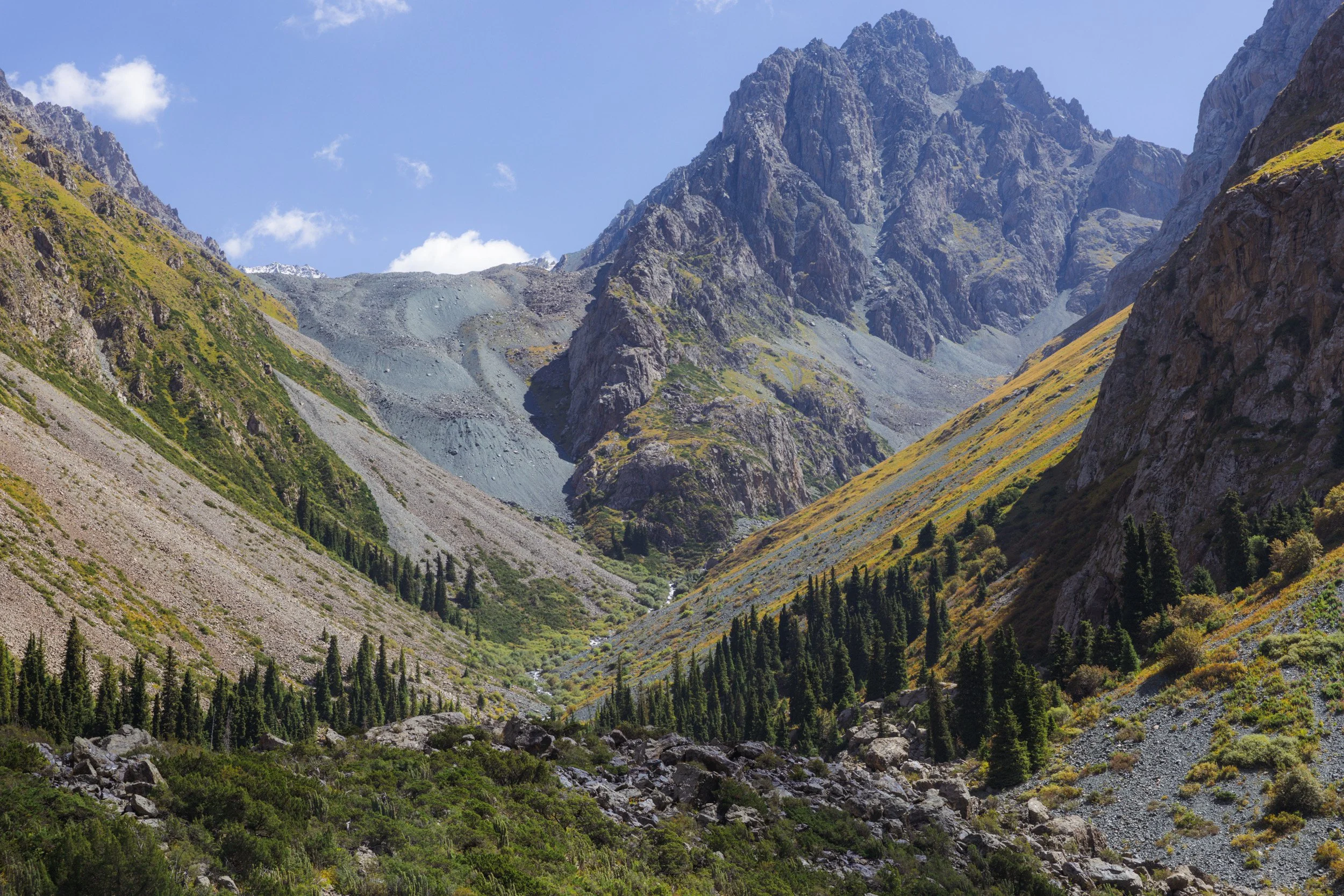2026-08-26-111744_AK5A5888.jpg