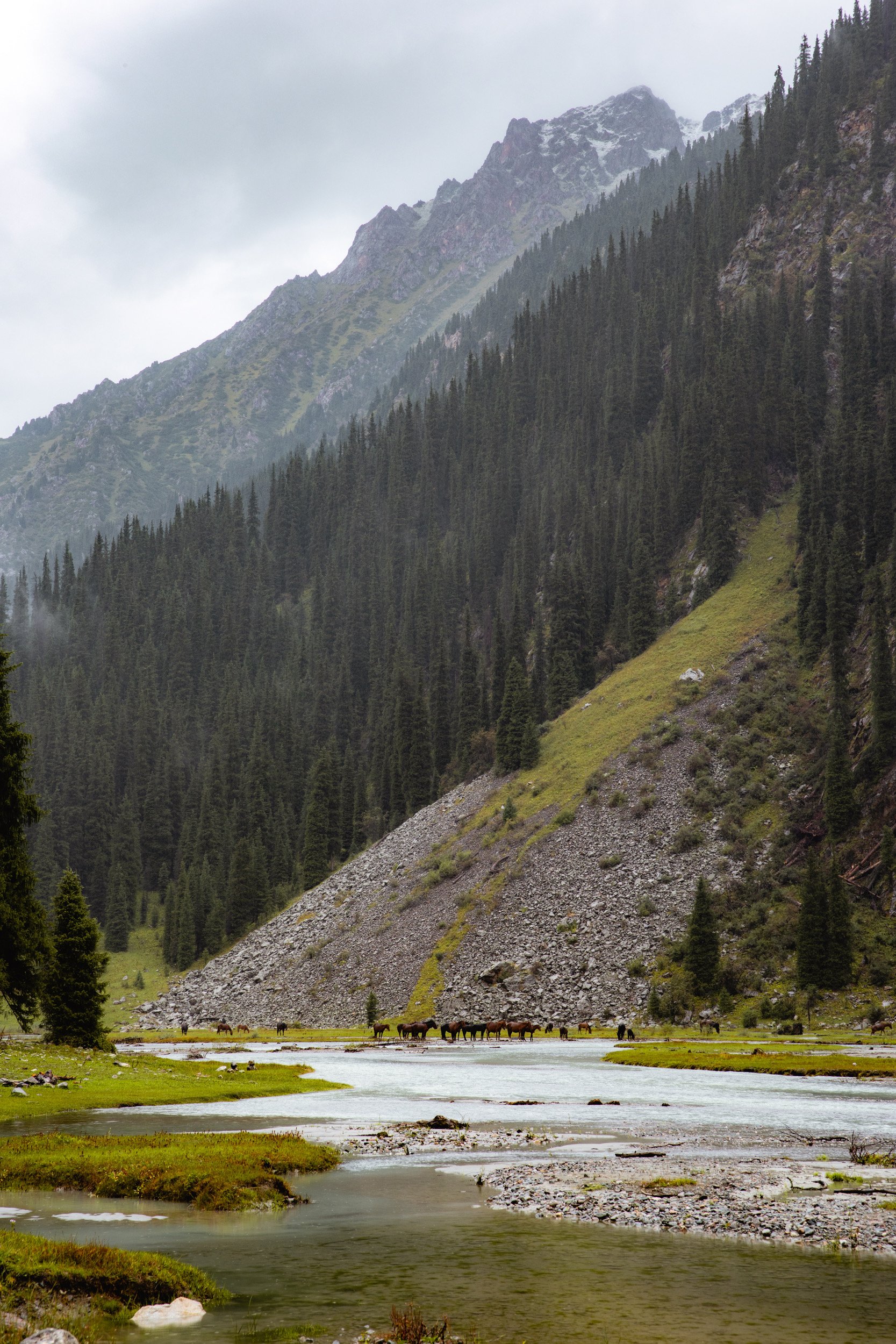 2026-08-25-101402_AK5A5365.jpg