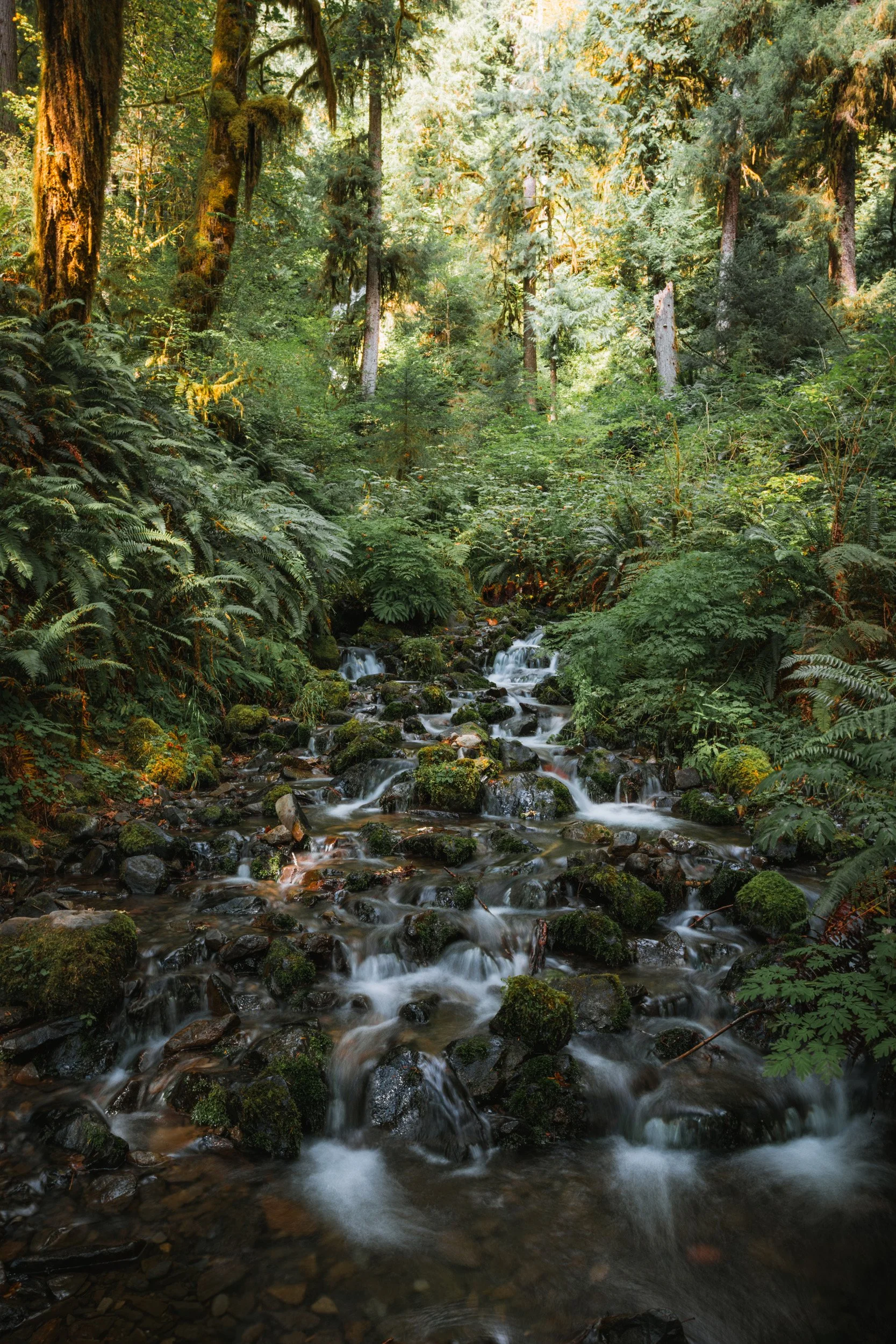 2026-08-15-145046_AK5A4544.jpg