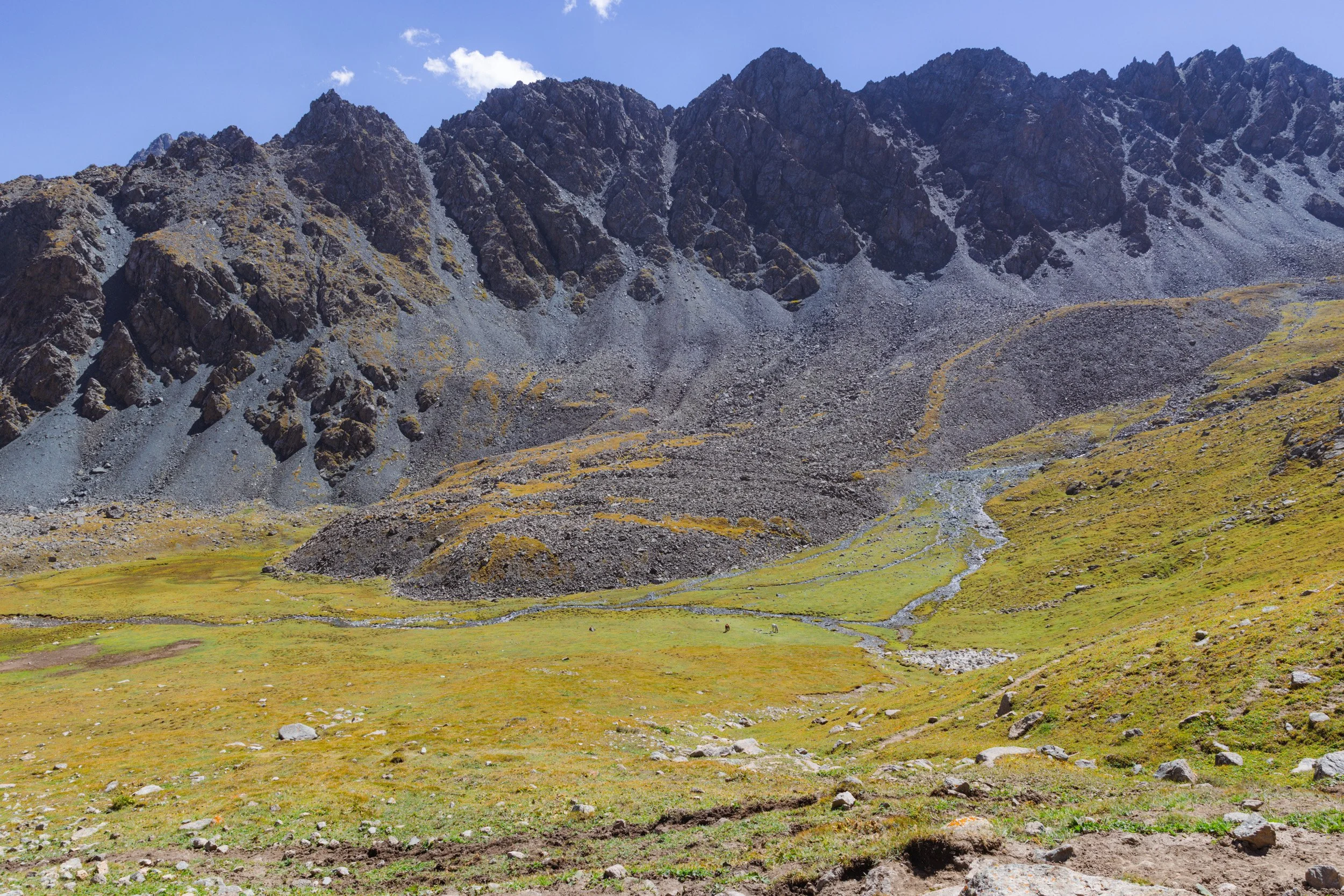 2026-08-27-131013_AK5A6639.jpg