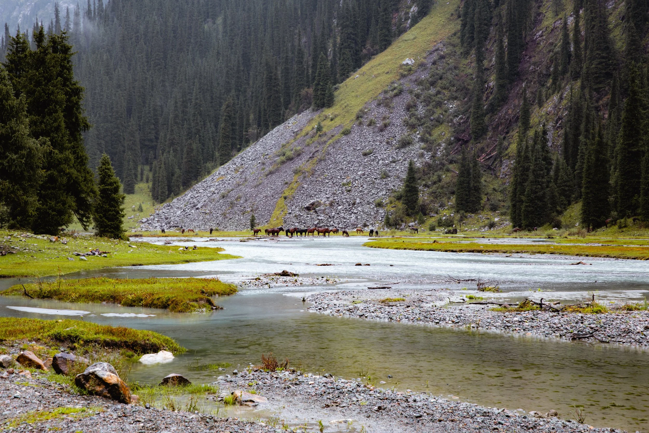 2026-08-25-101408_AK5A5369.jpg