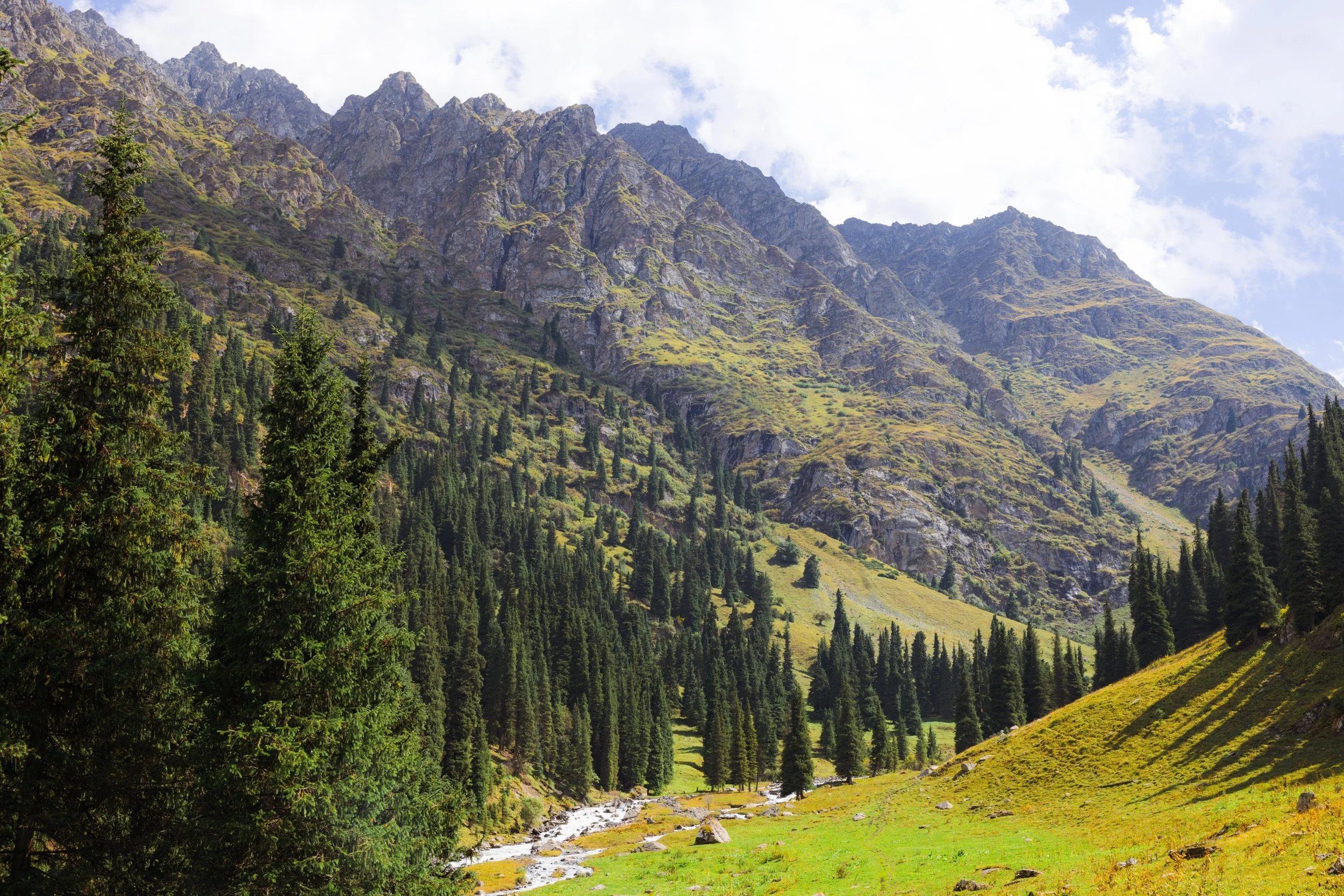 2026-08-25-142935_AK5A5596.jpg