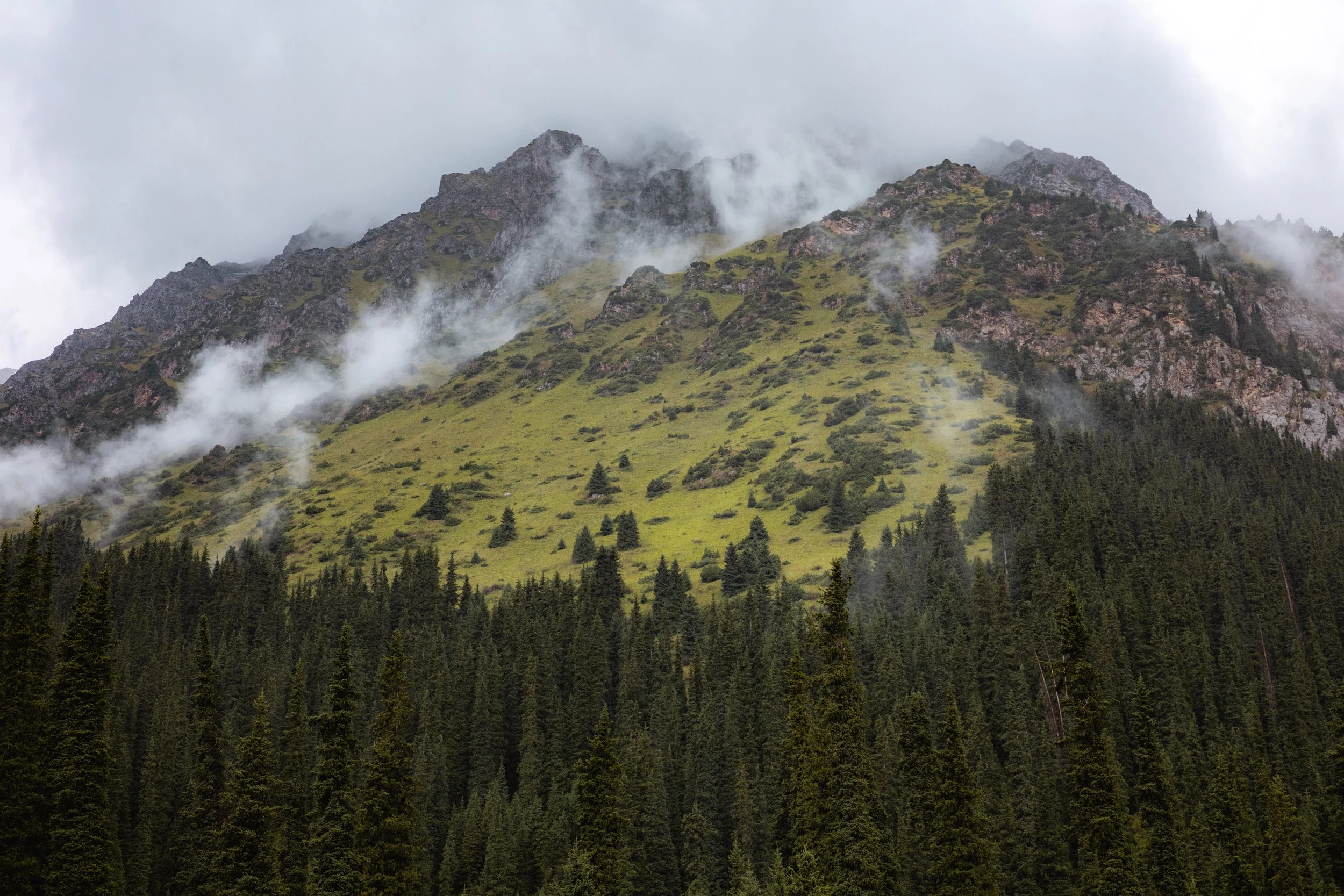 2026-08-25-112340_AK5A5478.jpg