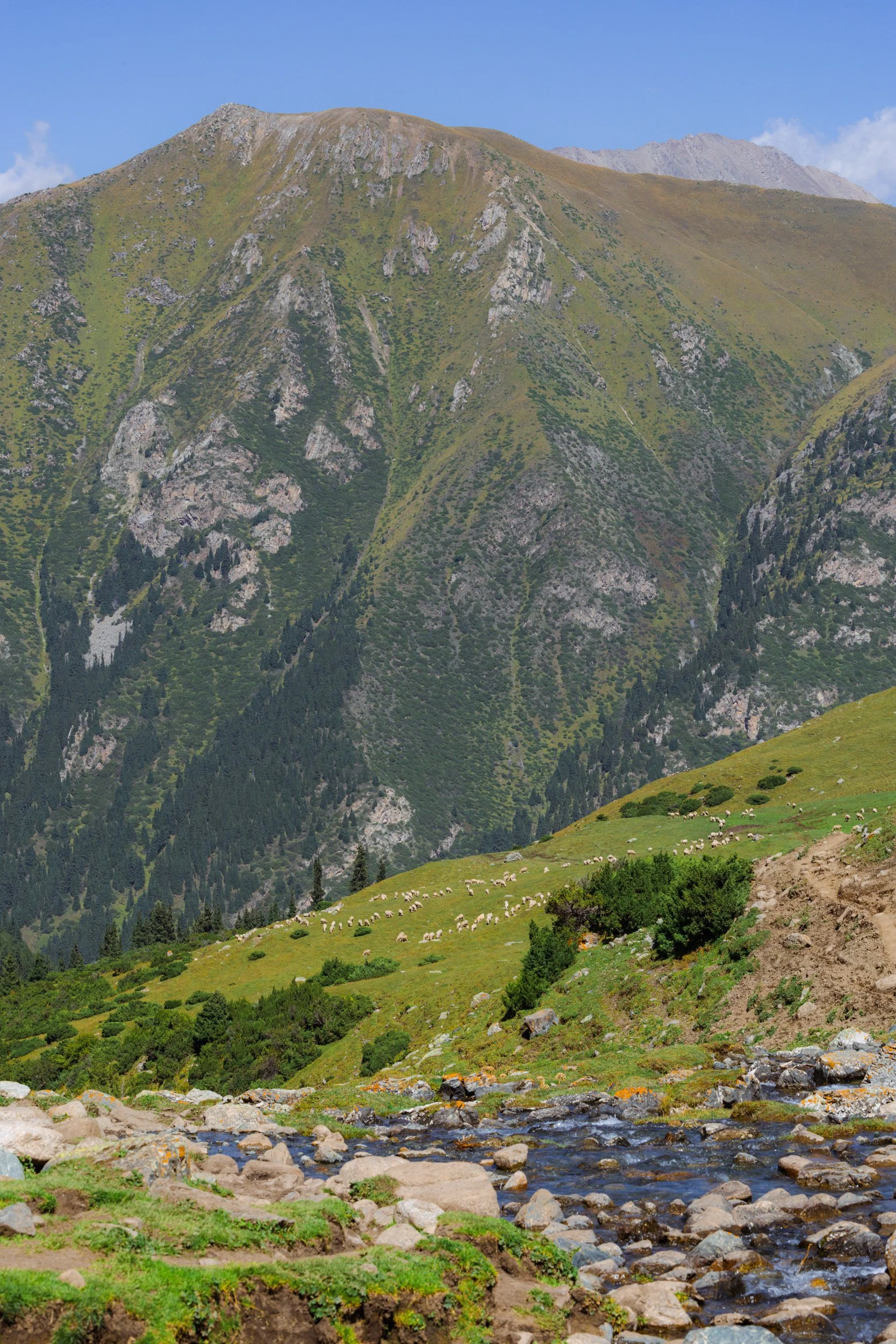 2026-08-27-144115_AK5A6711.jpg