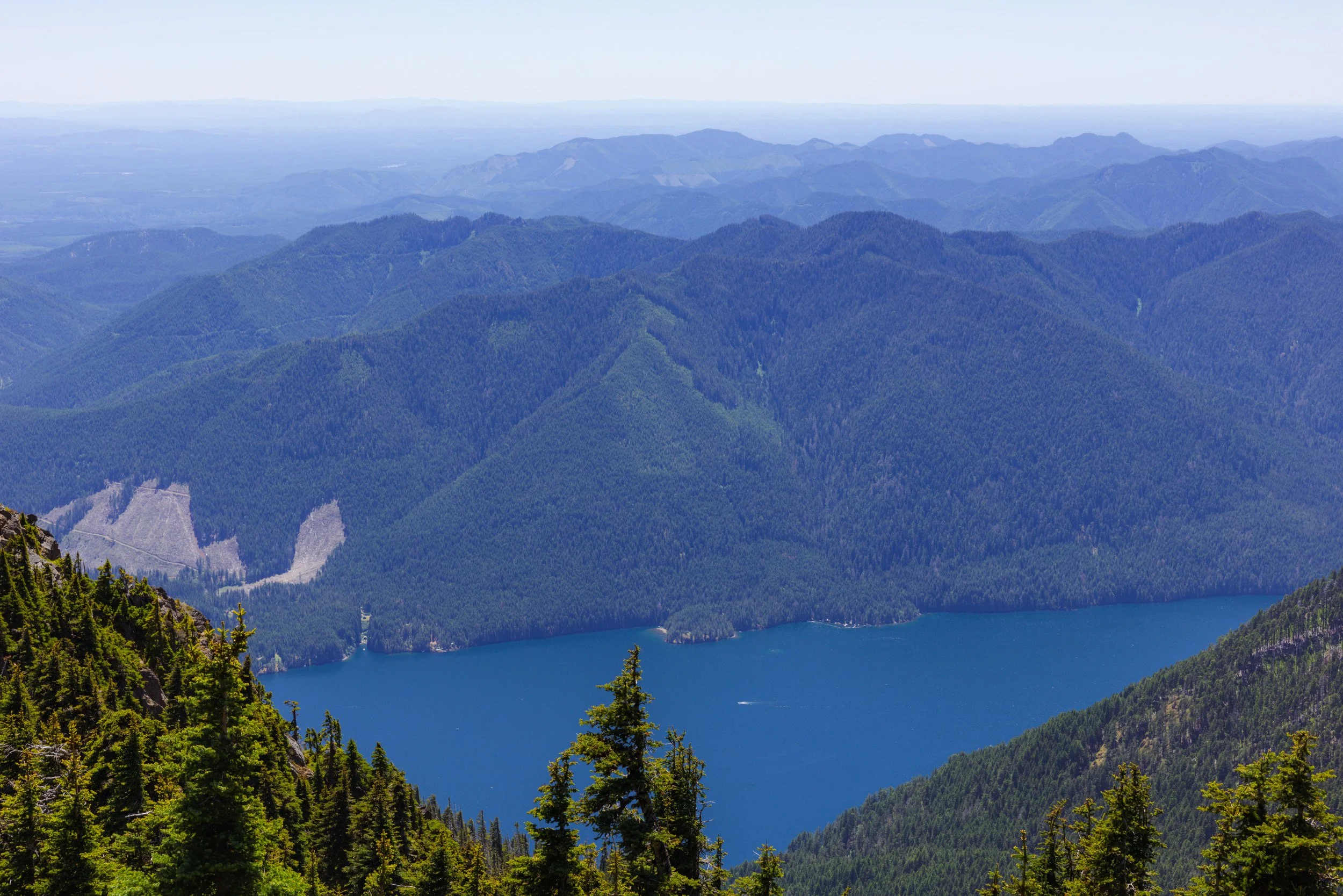 2026-06-13-134827_AK5A3398.jpg