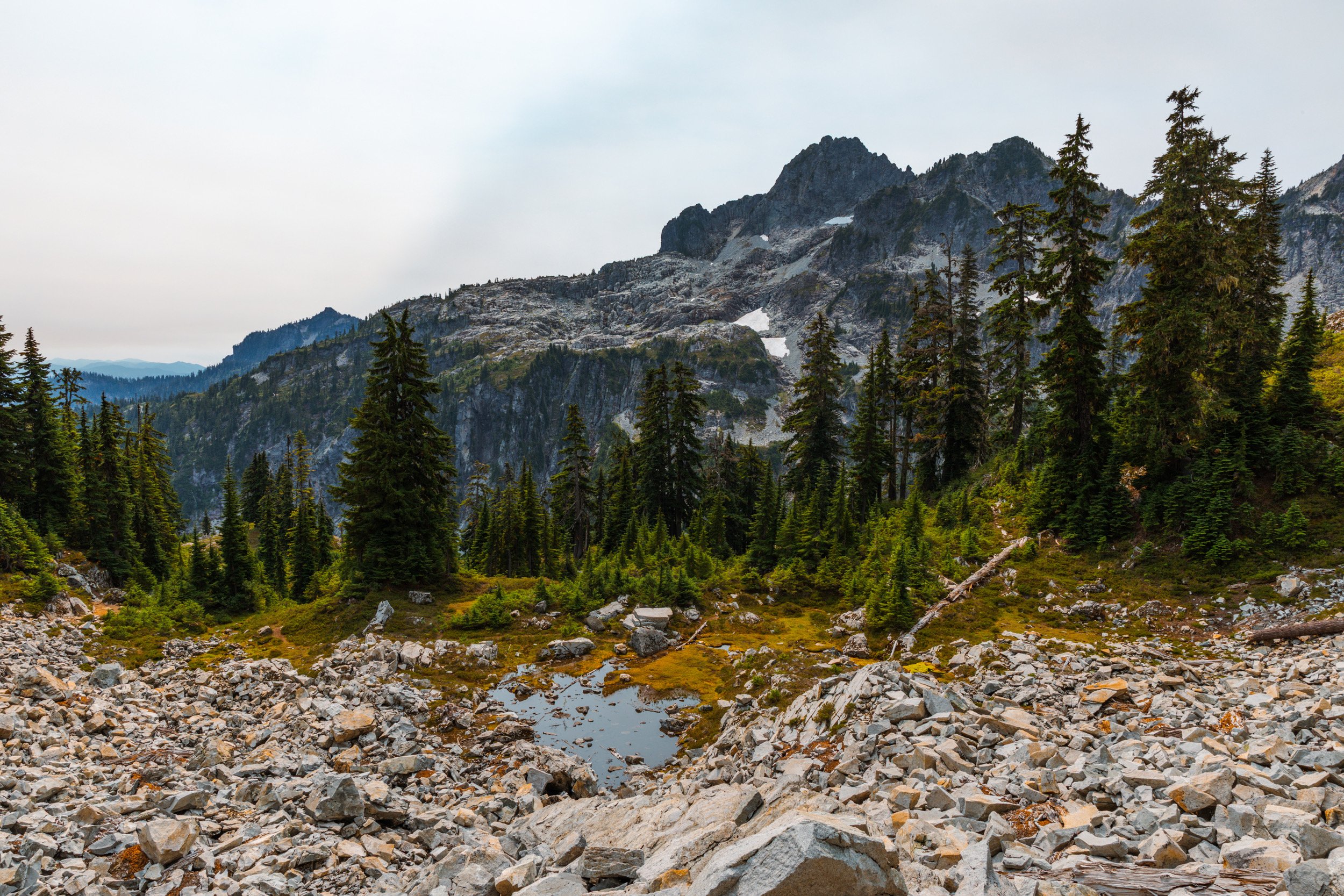 2026-08-09-124103_AK5A4481.jpg