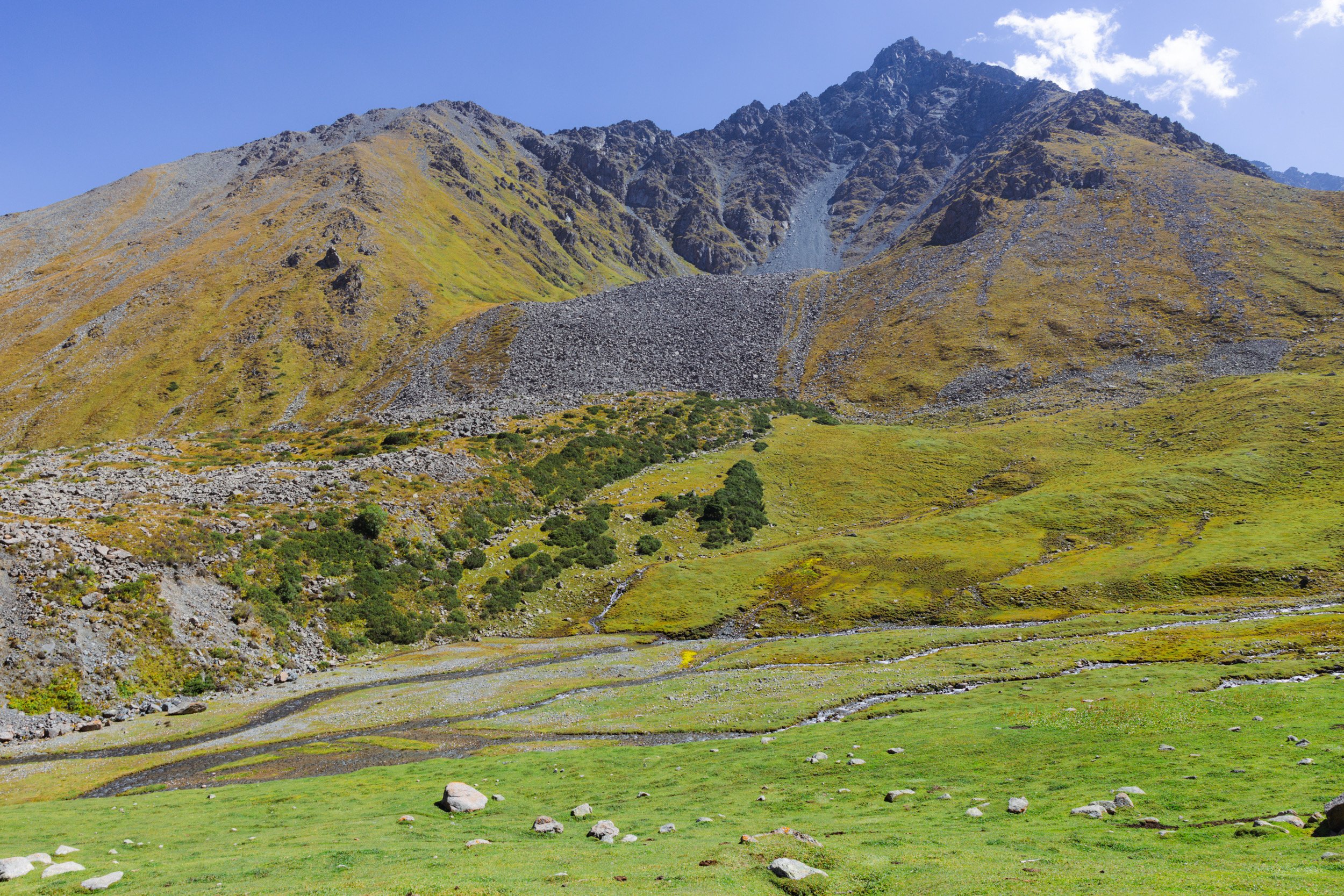 2026-08-27-140547_AK5A6691.jpg