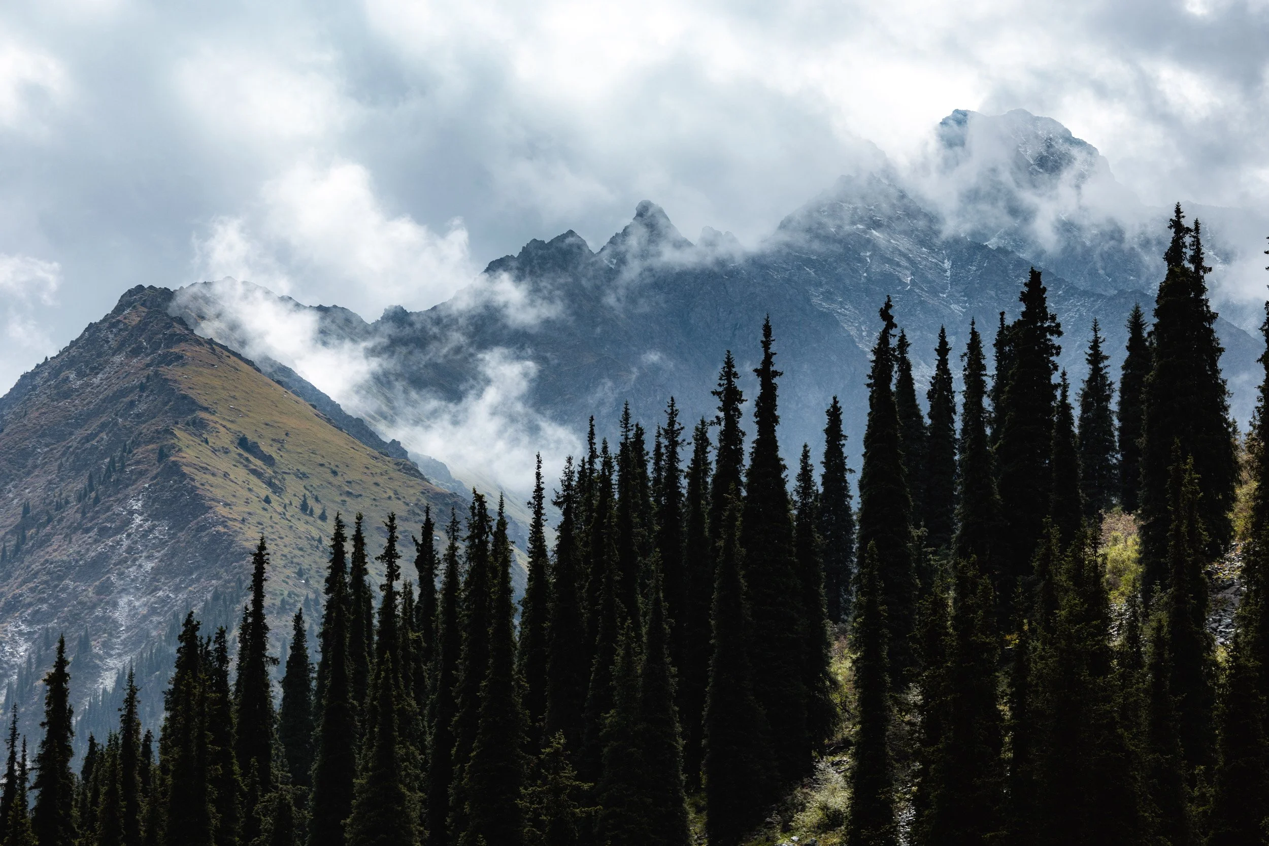 2026-08-25-114513_AK5A5540.jpg