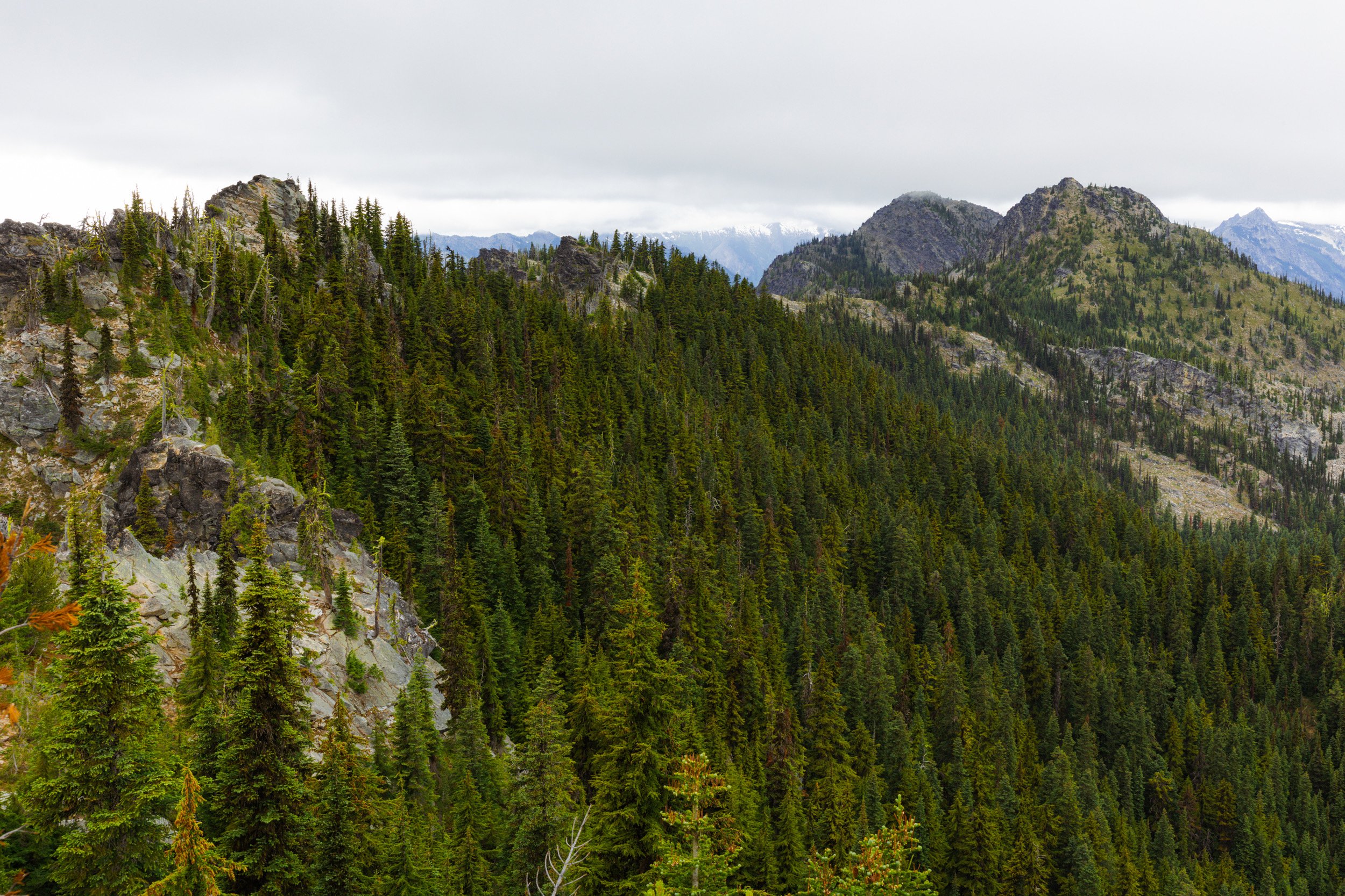 2026-06-27-142229_AK5A3649.jpg