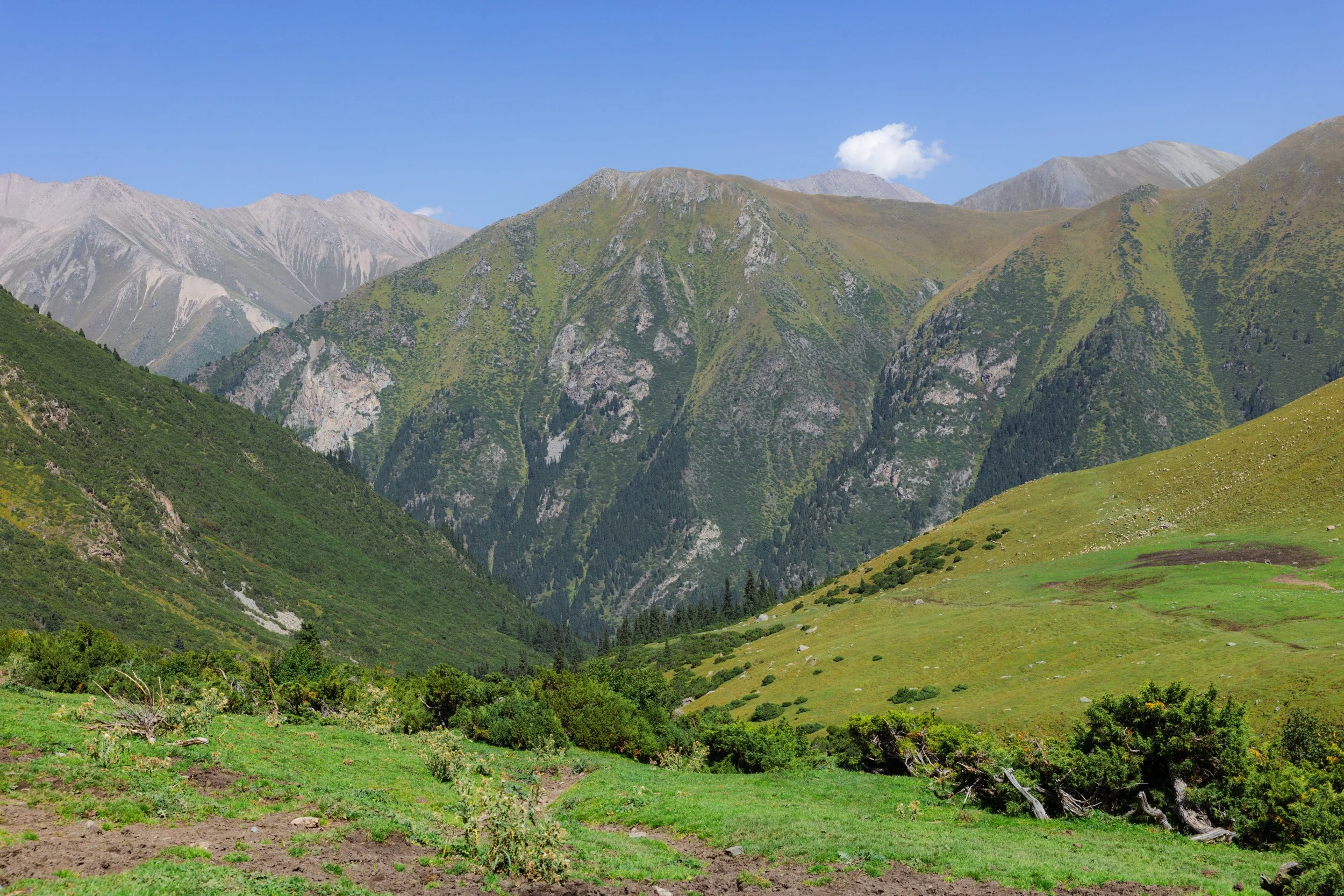 2026-08-27-141336_AK5A6697.jpg