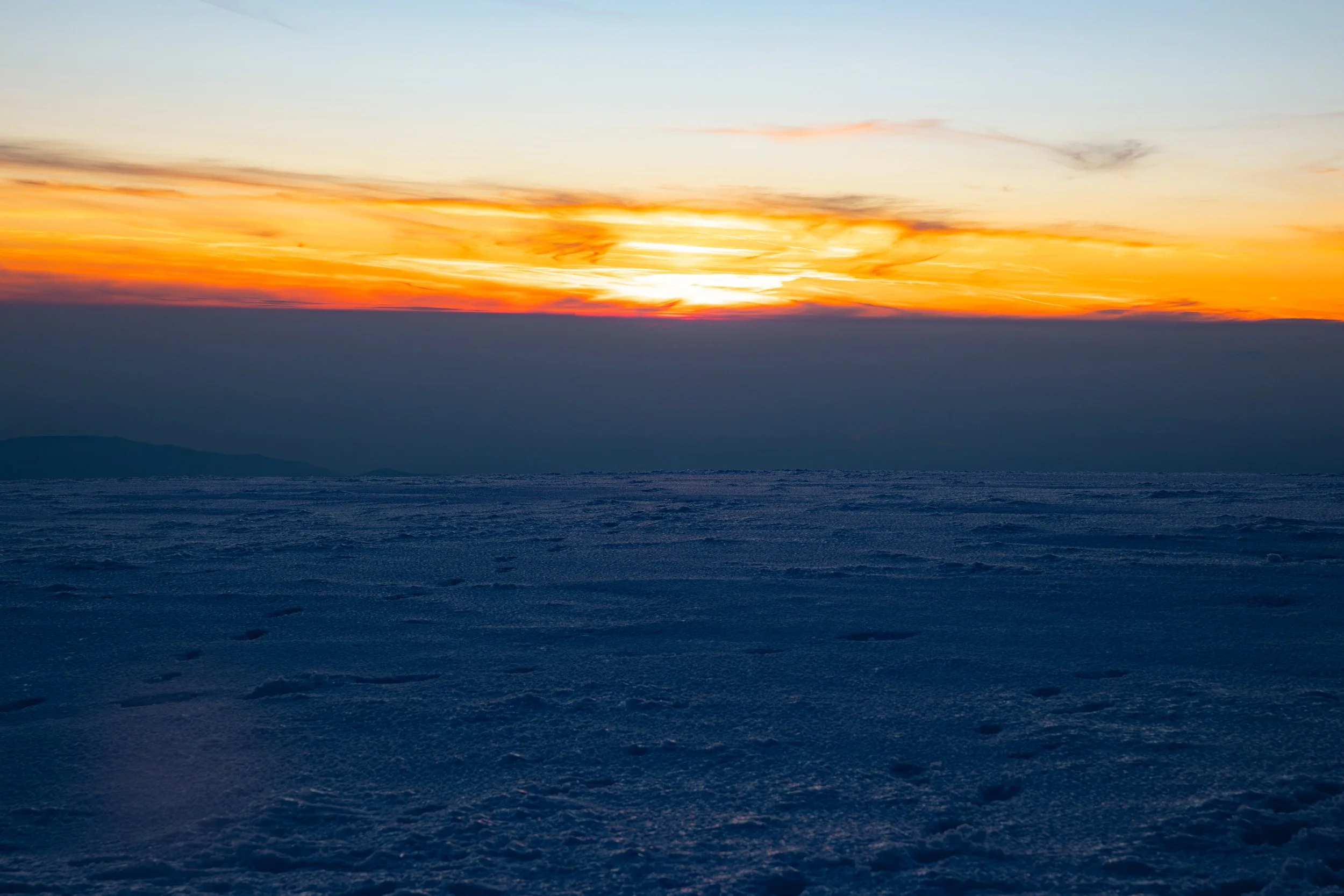 2026-07-05-213148_AK5A4151.jpg