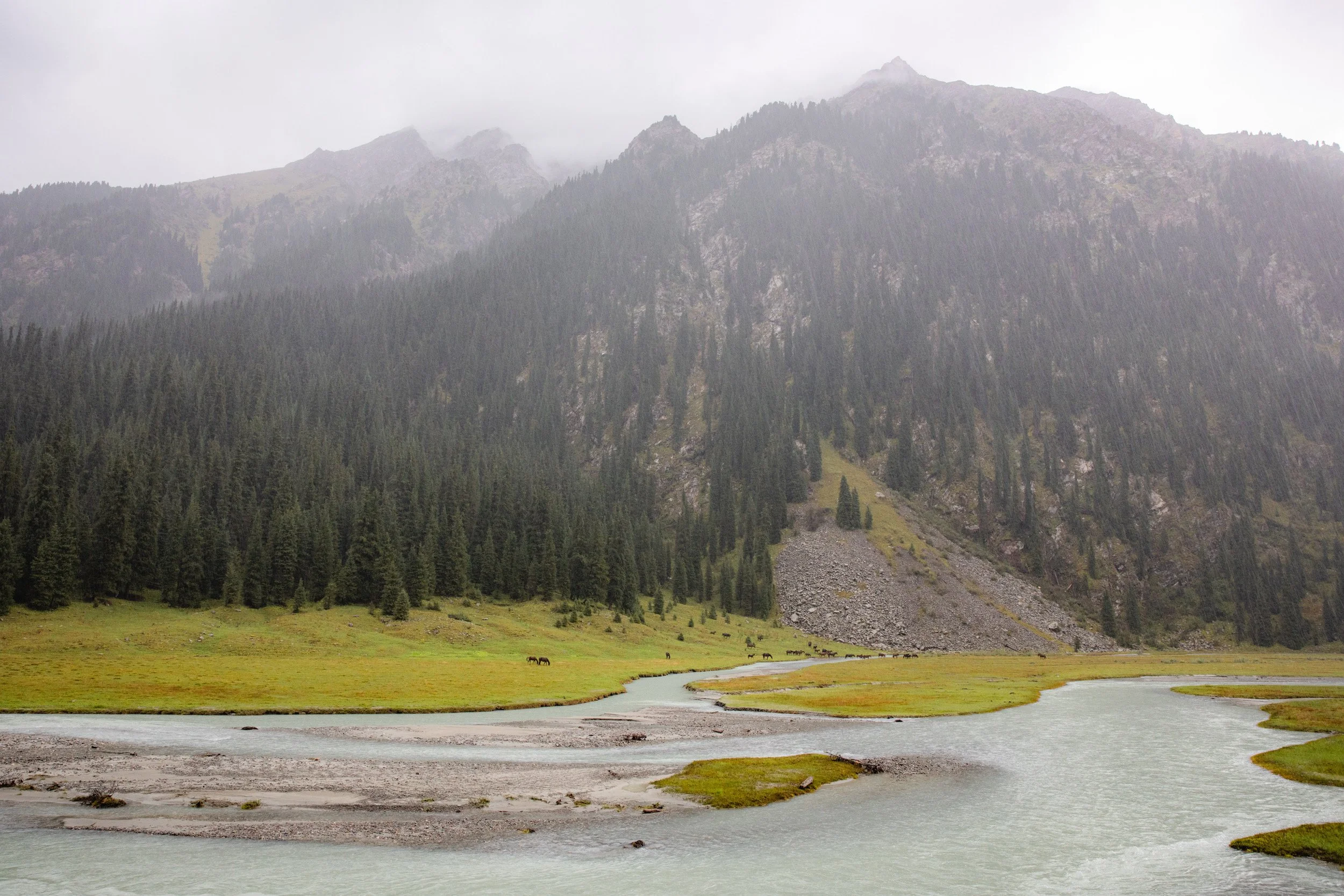 2026-08-25-095616_AK5A5350.jpg
