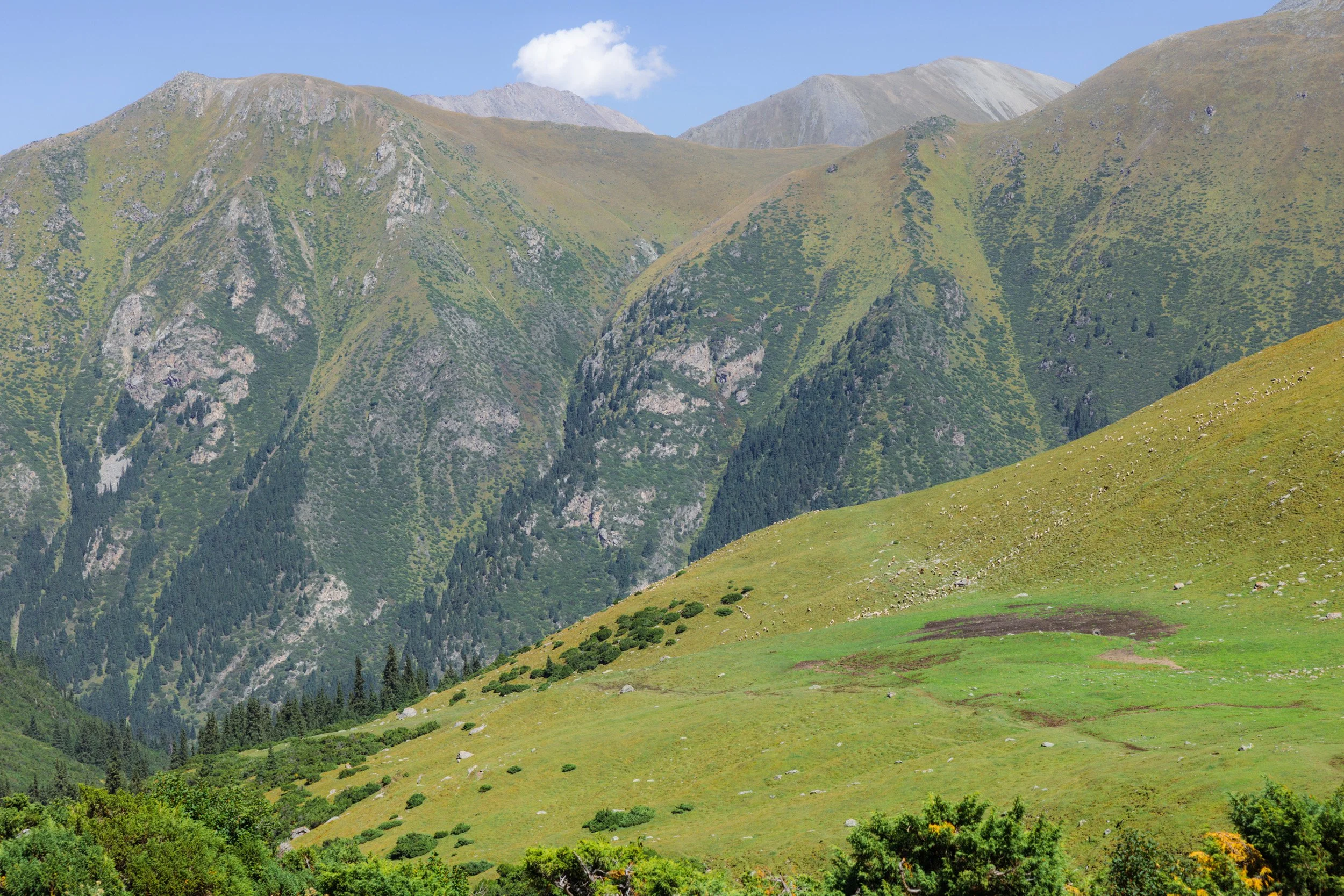 2026-08-27-141342_AK5A6699.jpg