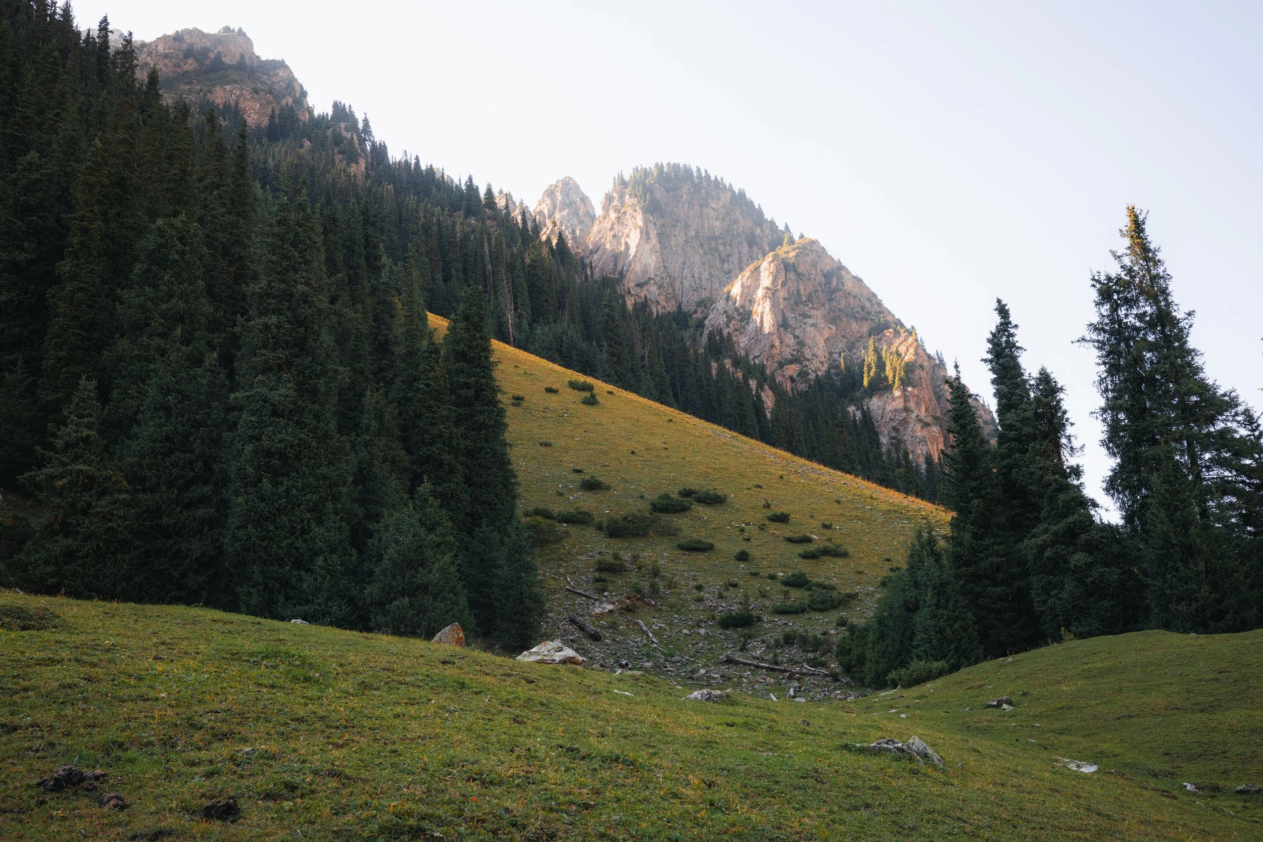 2026-08-27-155733_AK5A6752.jpg