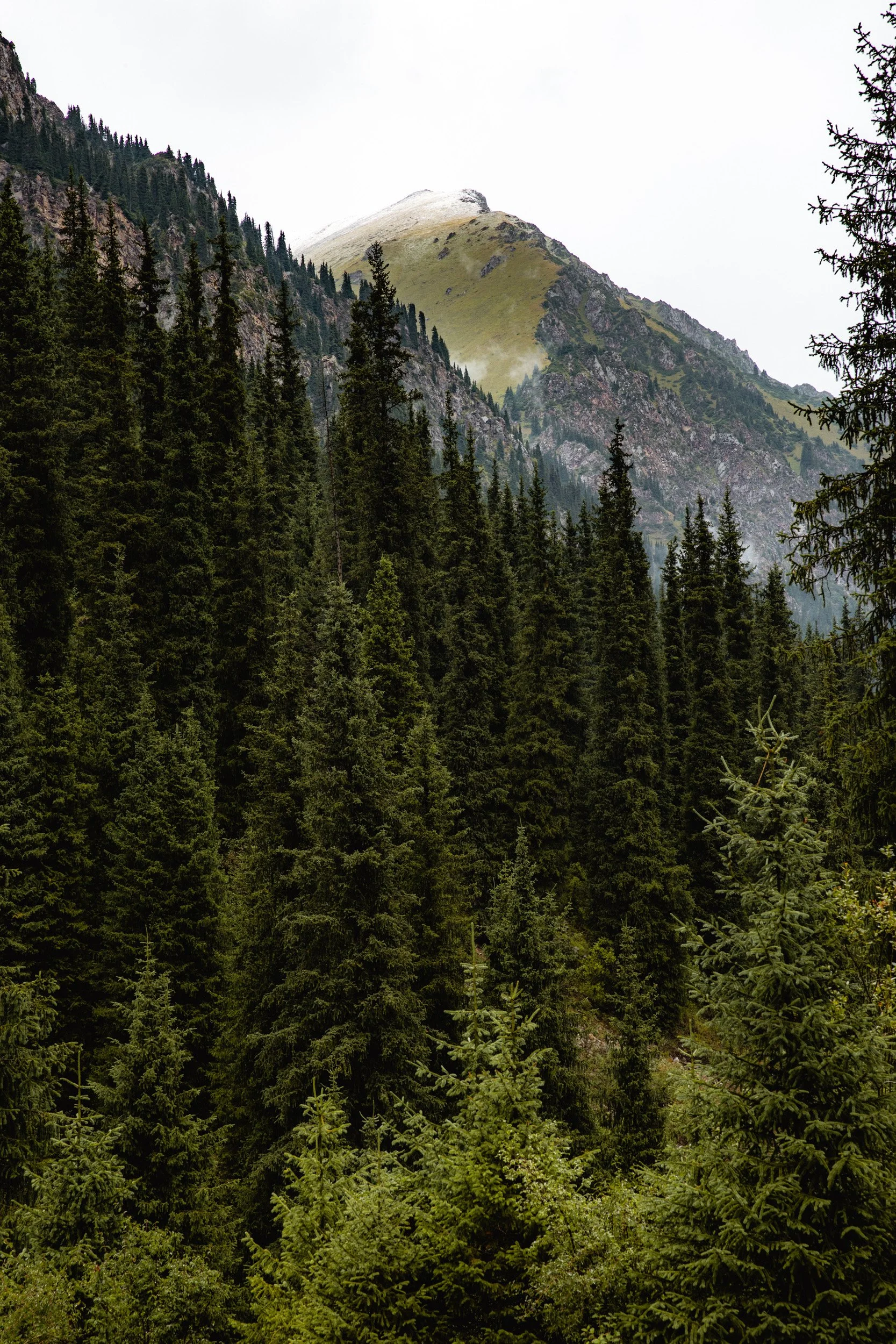 2026-08-25-105746_AK5A5442.jpg