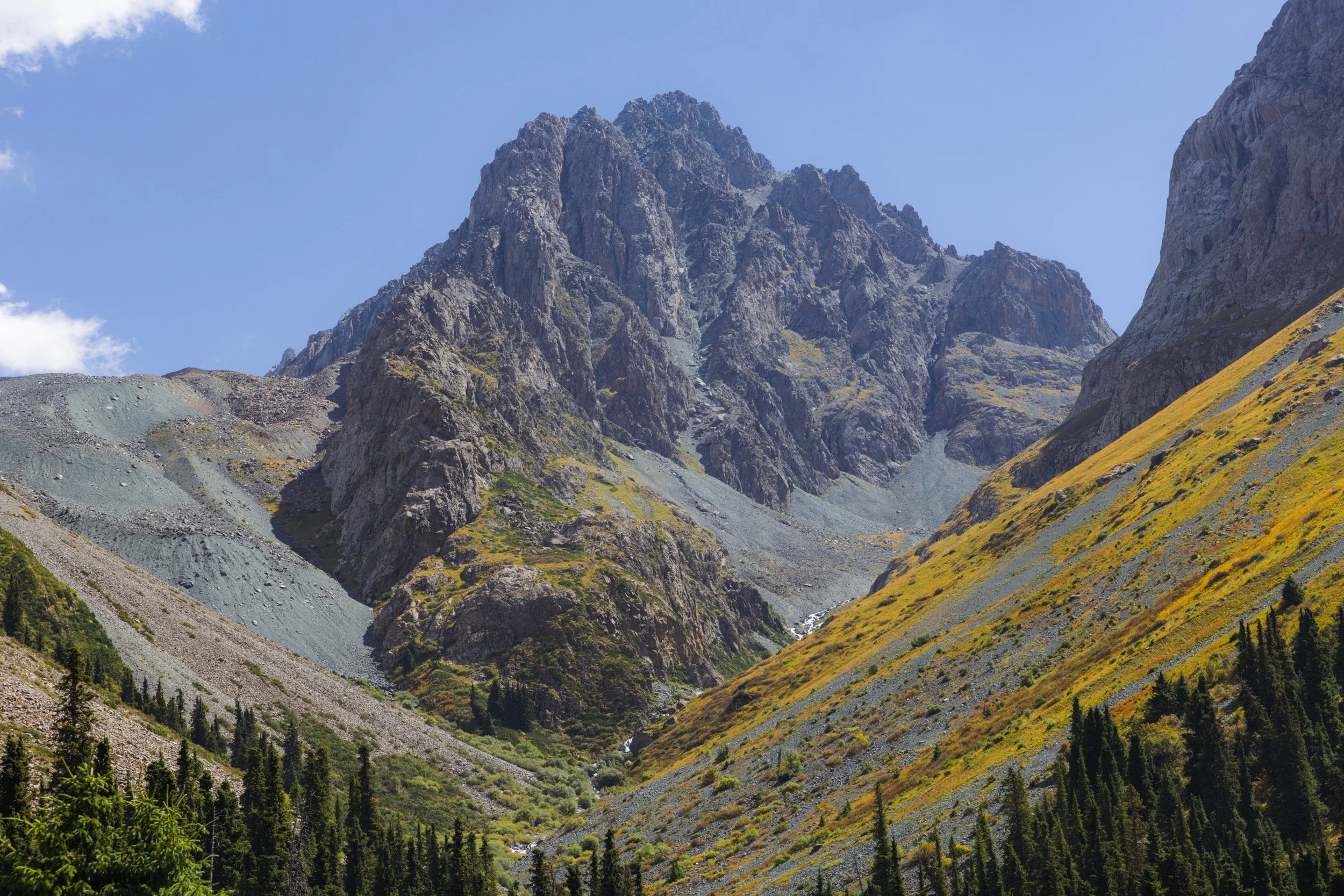 2026-08-26-113109_AK5A5893.jpg