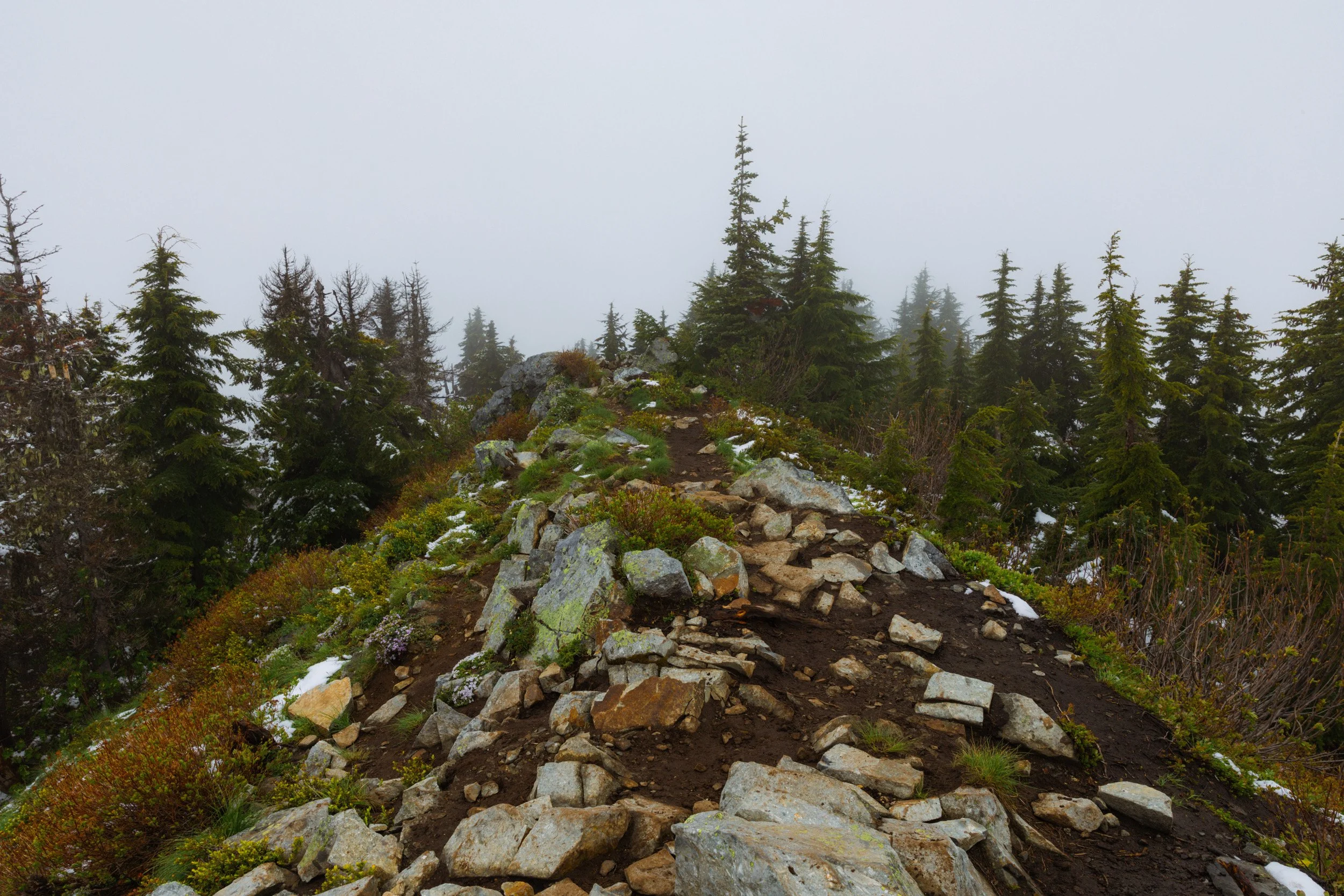2026-06-07-143549_AK5A3266.jpg