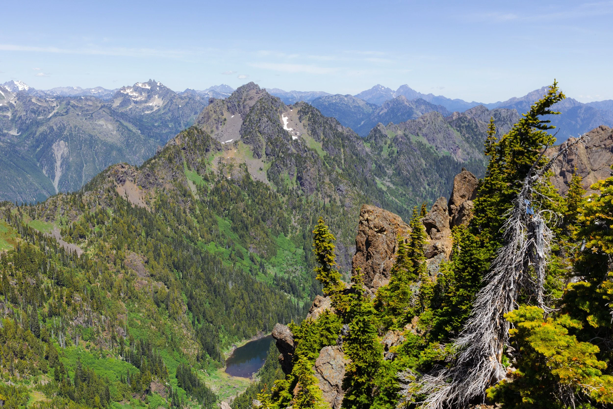2026-06-13-125613_AK5A3350.jpg