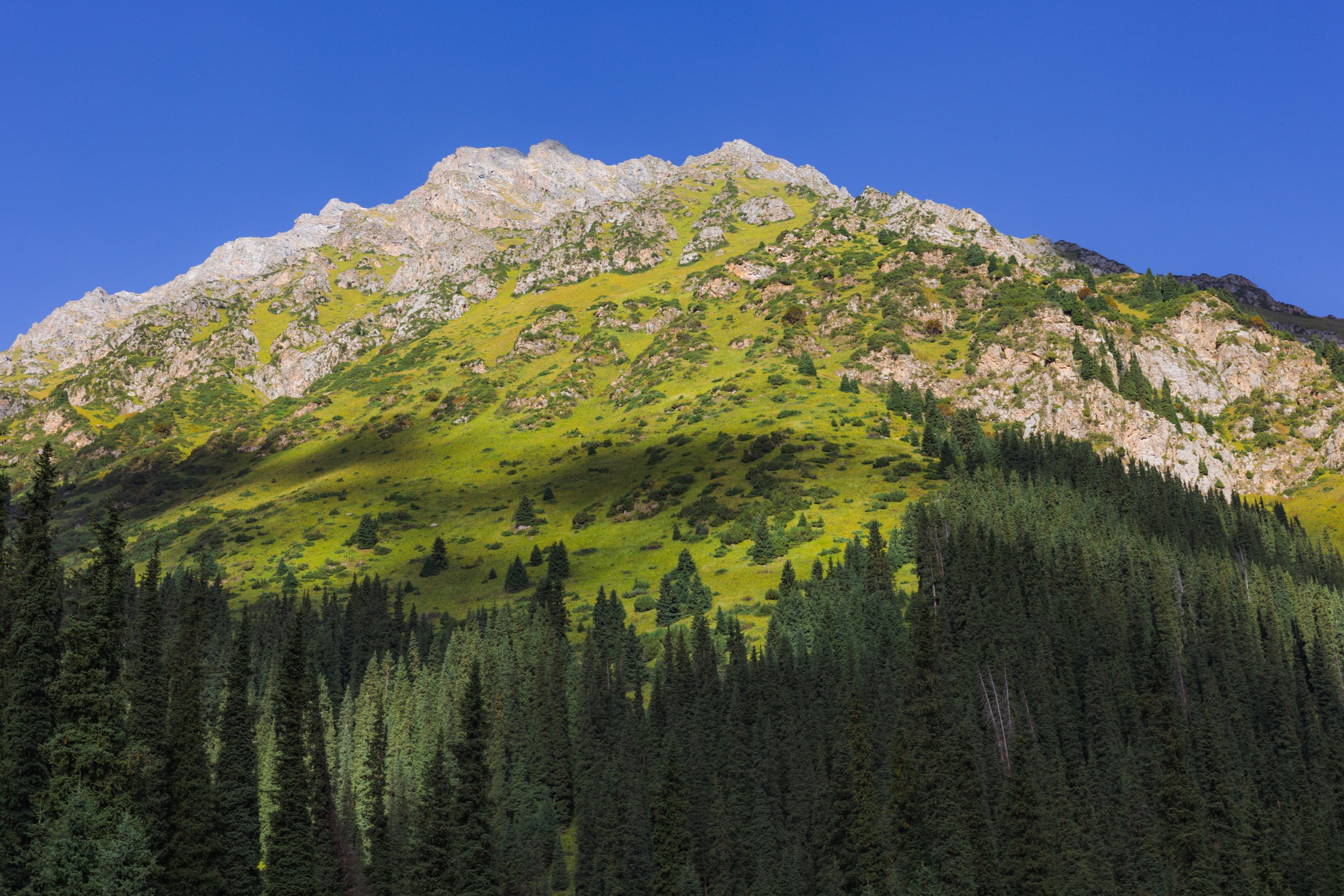 2026-08-26-092953_AK5A5861.jpg