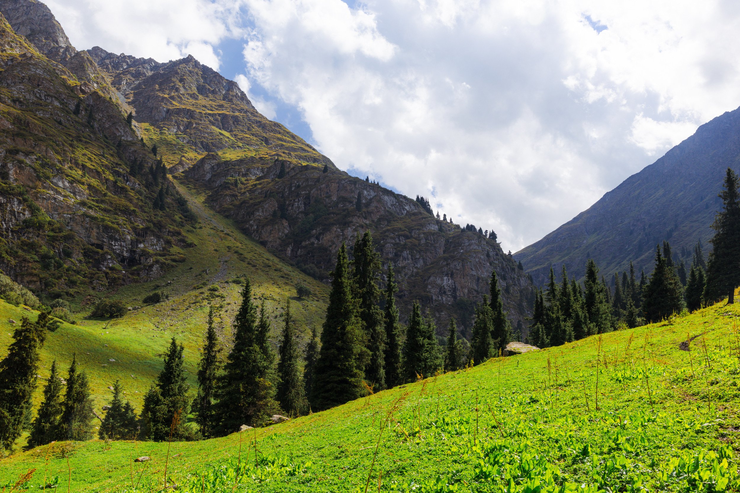 2026-08-25-144144_AK5A5606.jpg