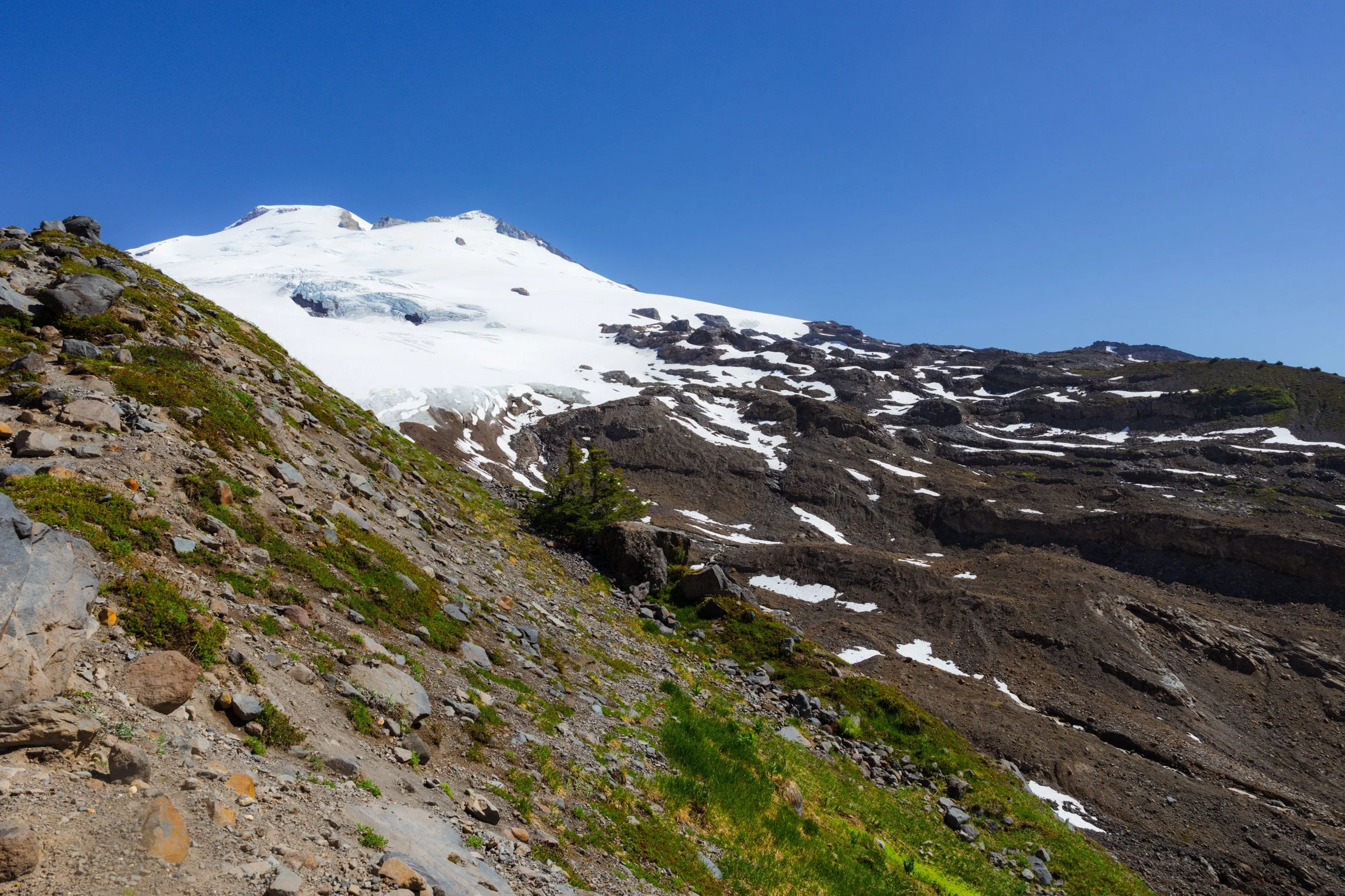 2026-07-06-104023_AK5A4155.jpg
