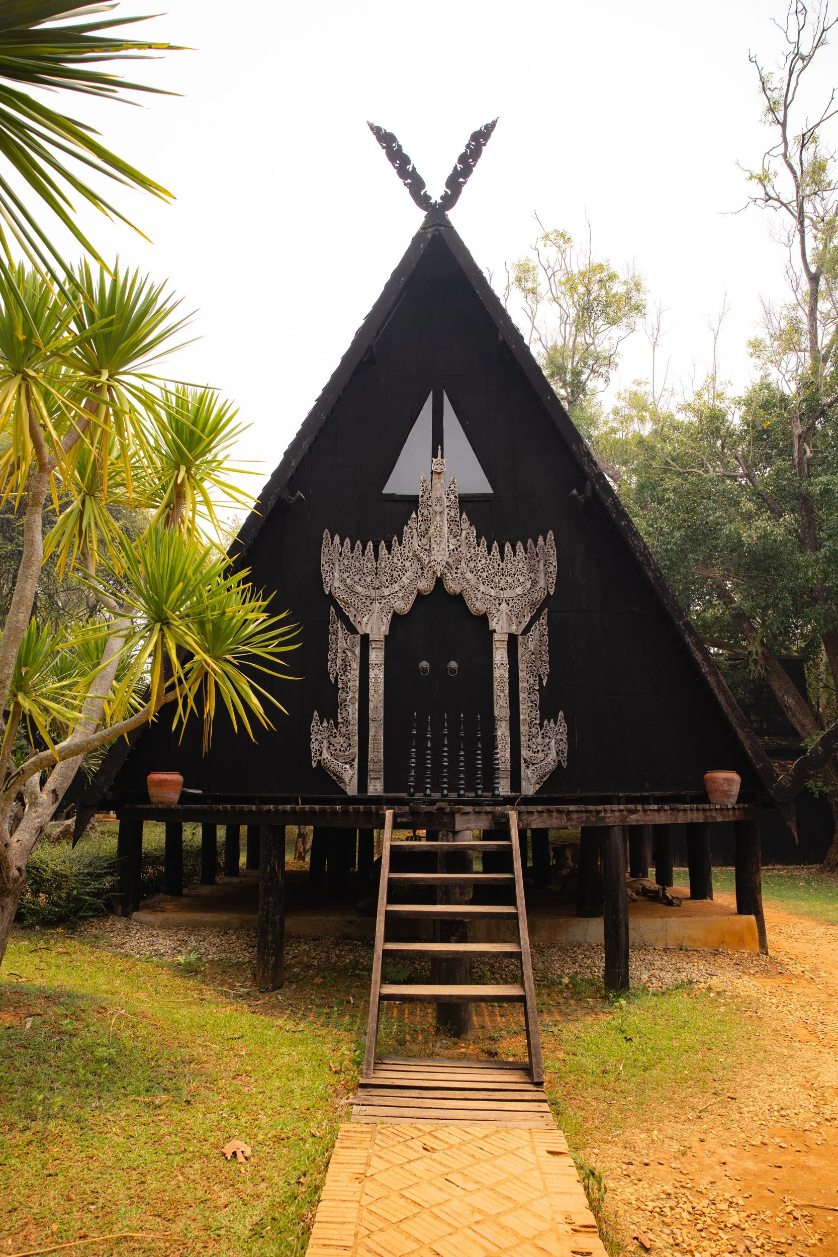 2026-04-15-114755_AK5A1762.jpg