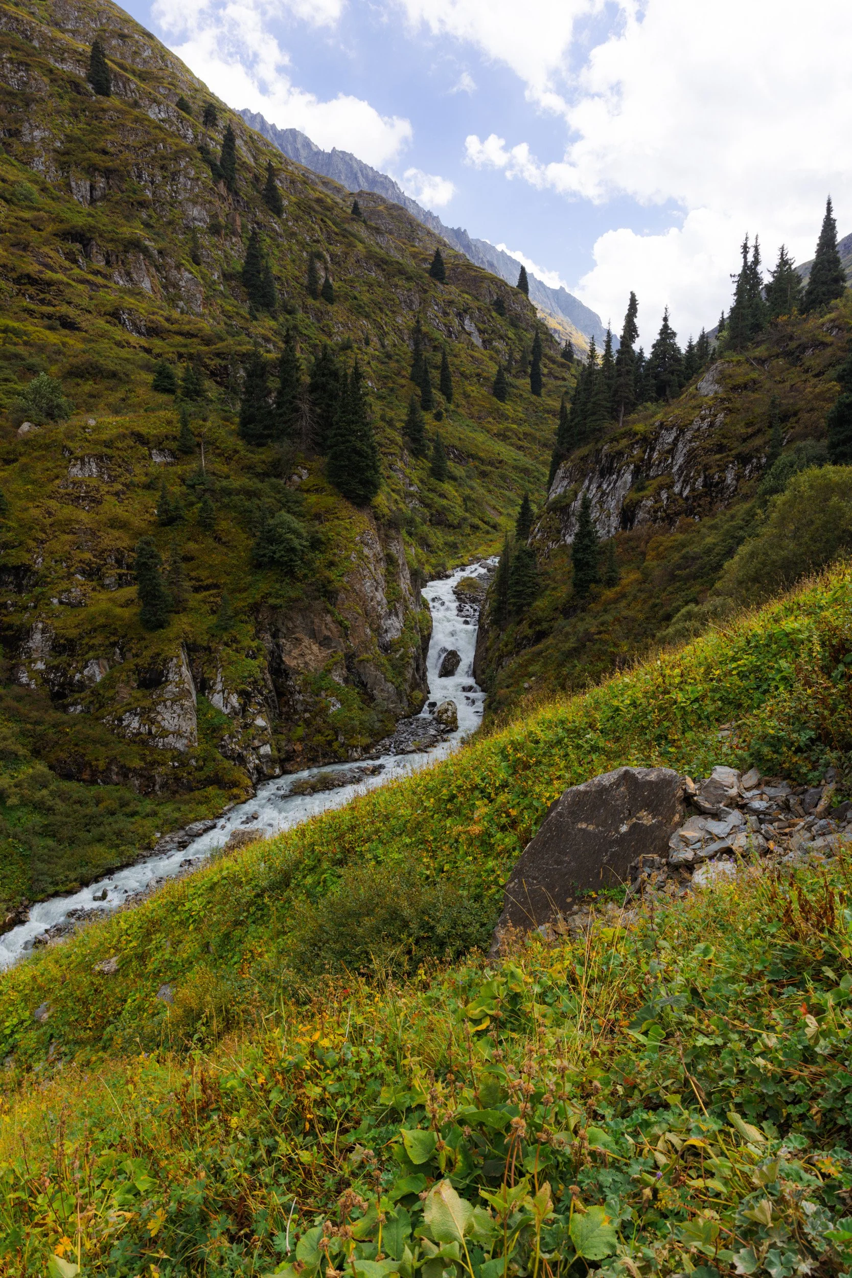 2026-08-25-145605_AK5A5617.jpg
